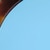 TORTOISESHELL / BLUE