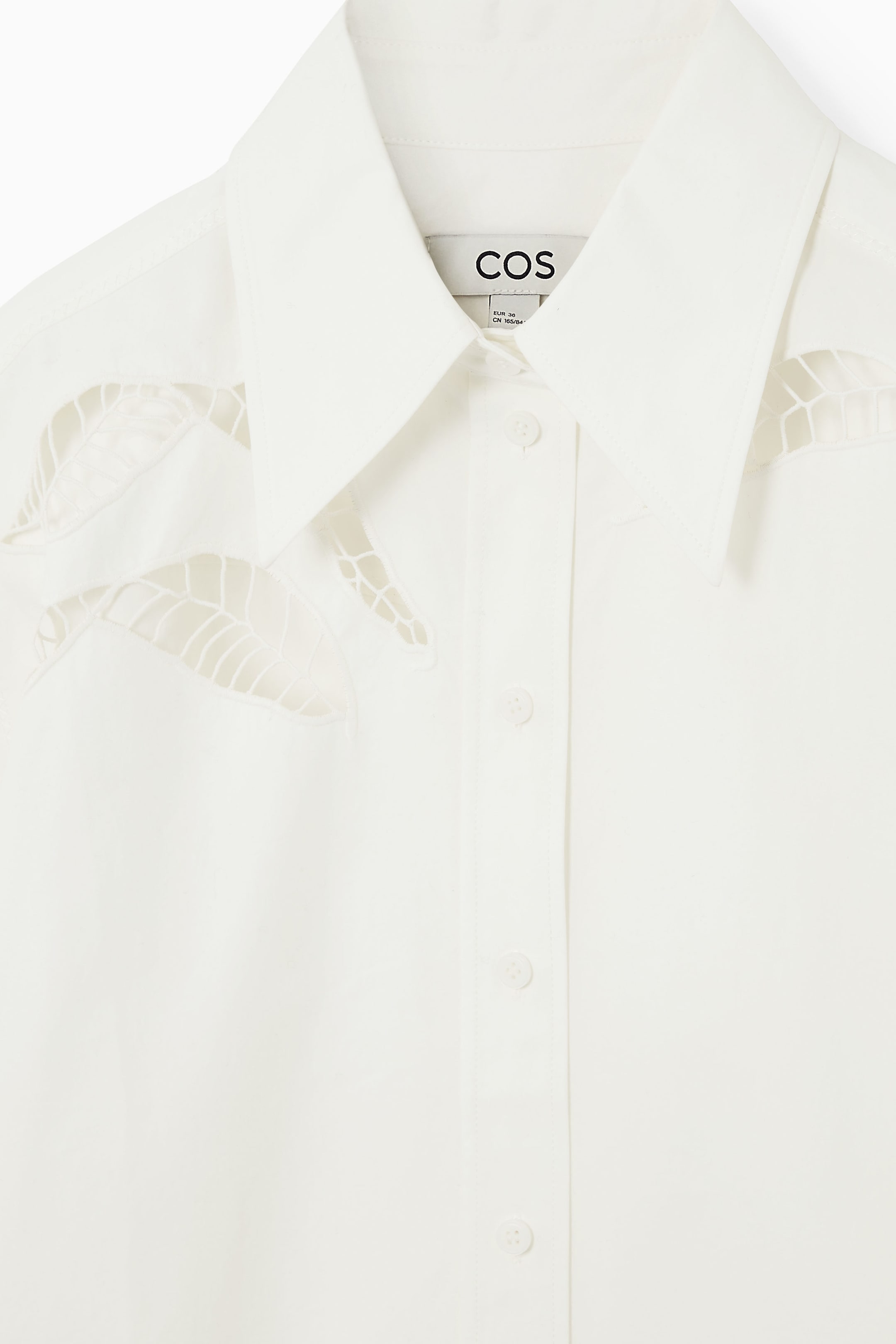 StillMedia/DescriptiveDetail