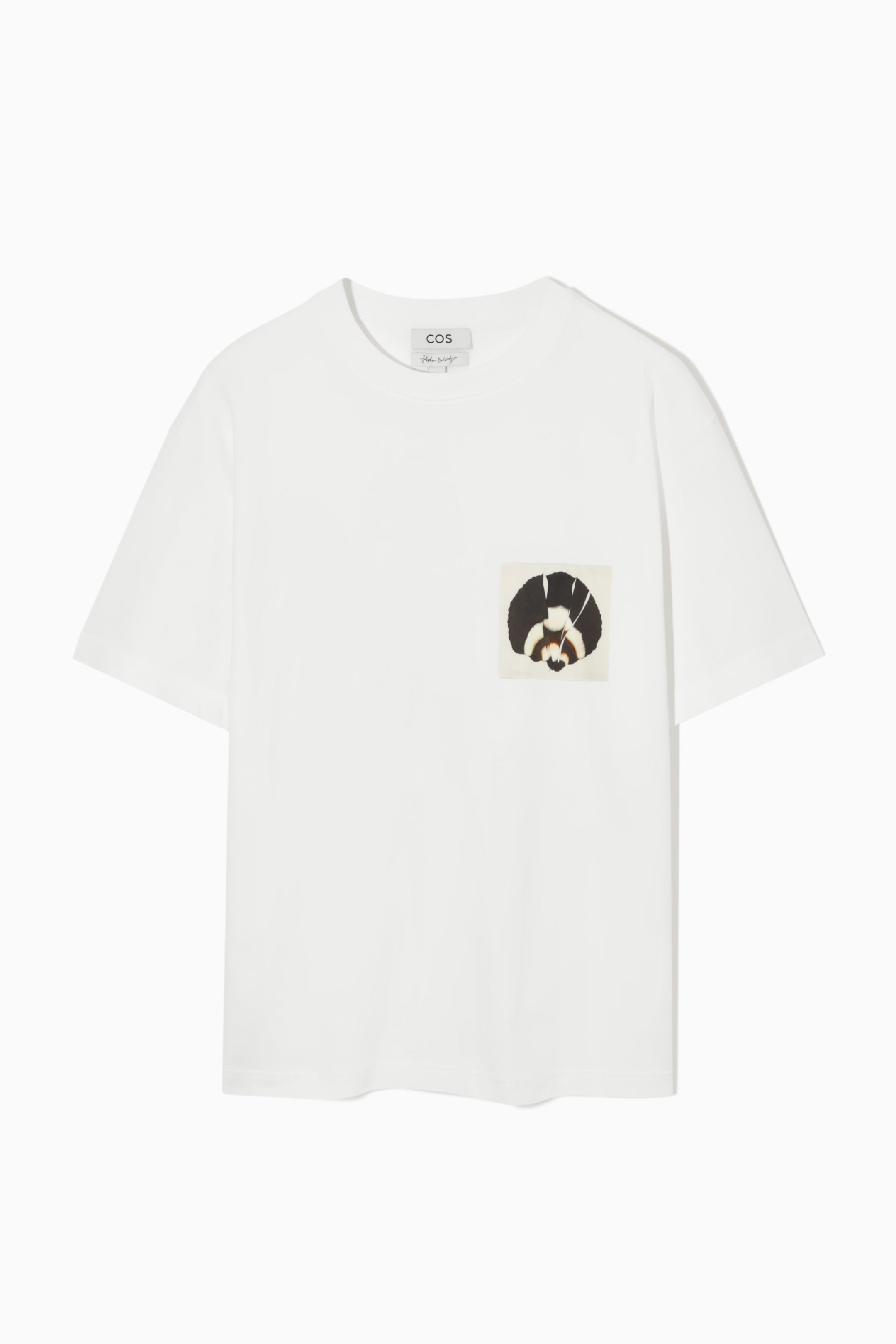 StillMedia/DescriptiveStillLife