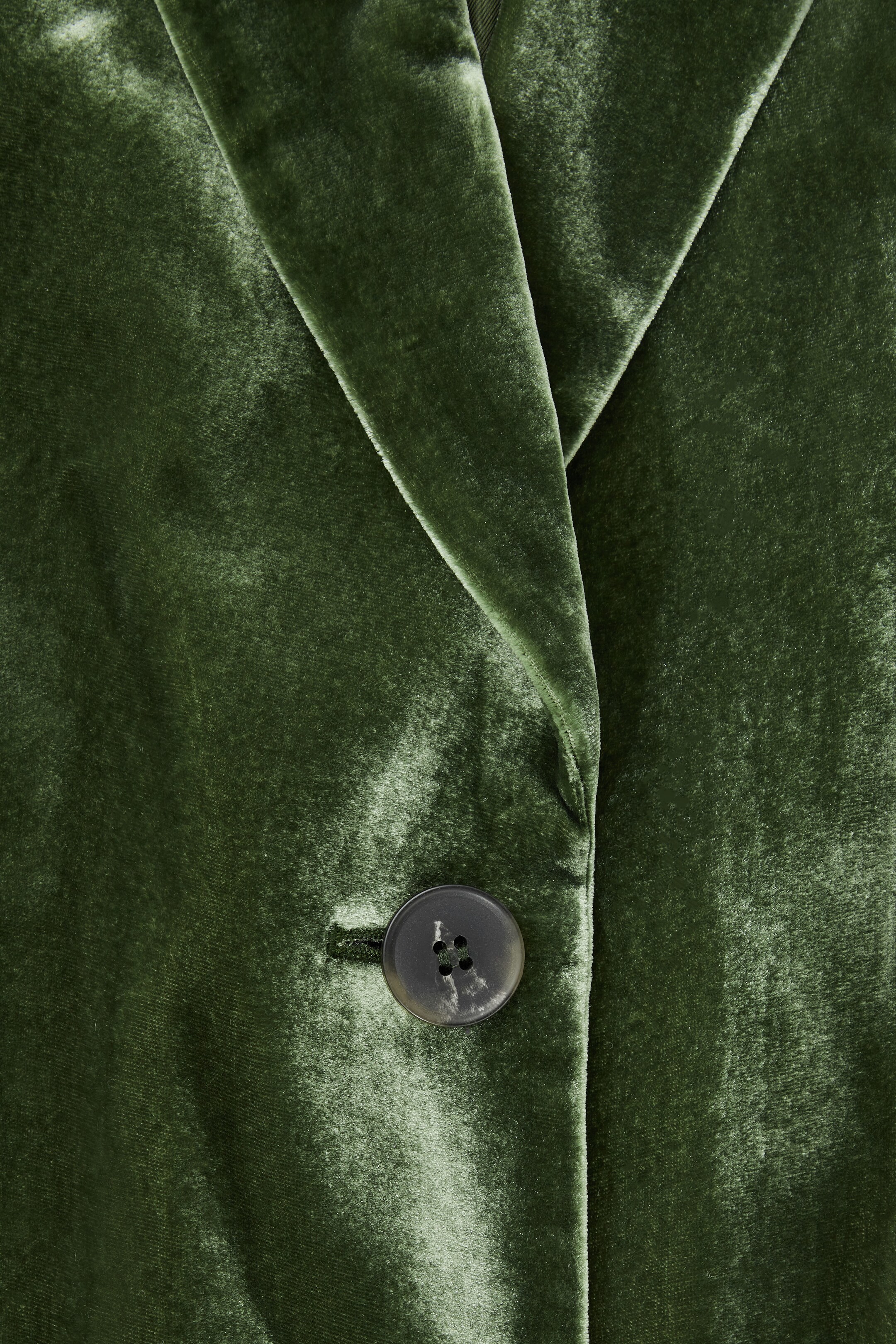 View larger image: REGULAR SILK-BLEND VELVET BLAZER - DARK GREEN - Ladies | H&M GB 3