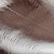 BROWN / EEL EFFECT