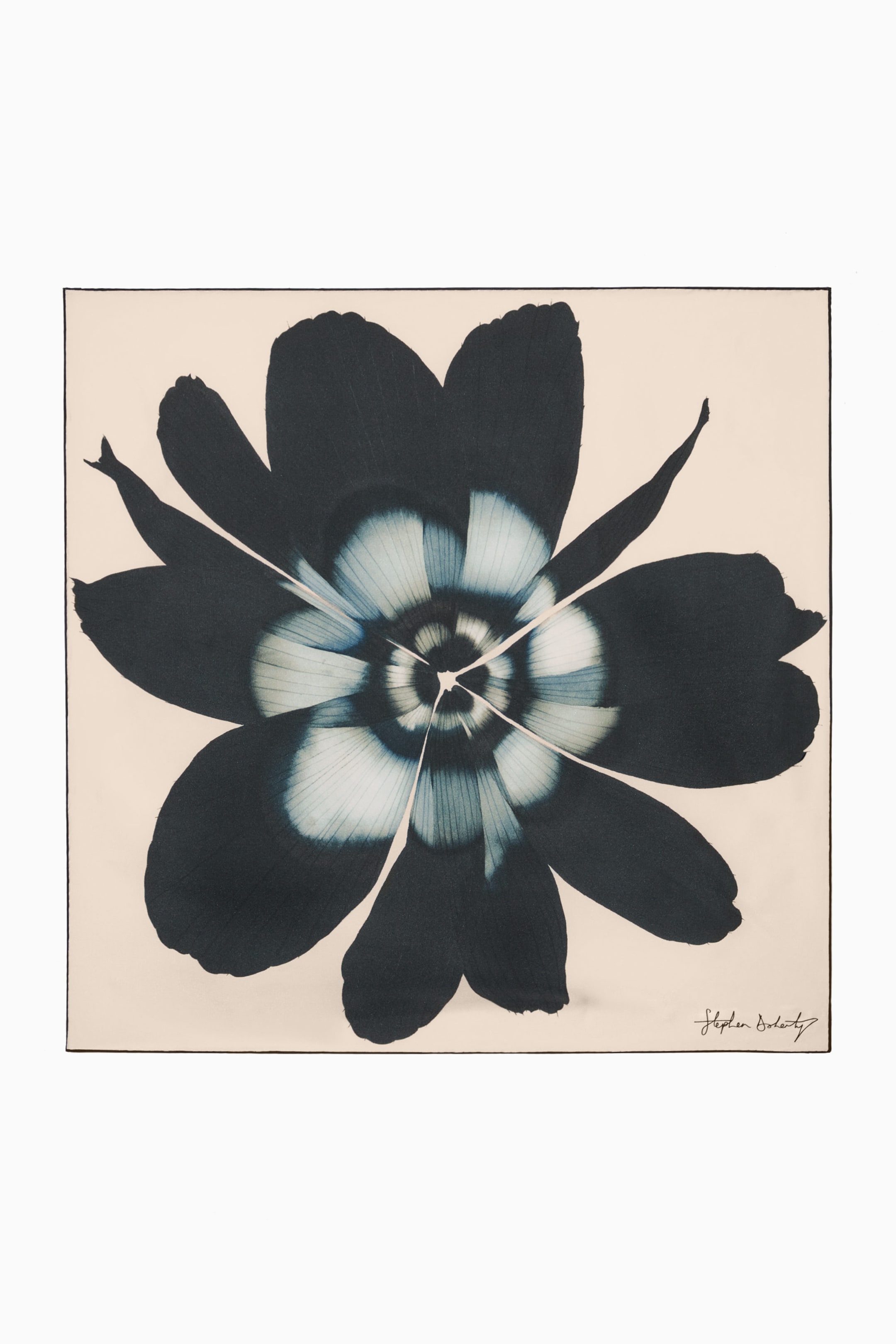 StillMedia/DescriptiveStillLife