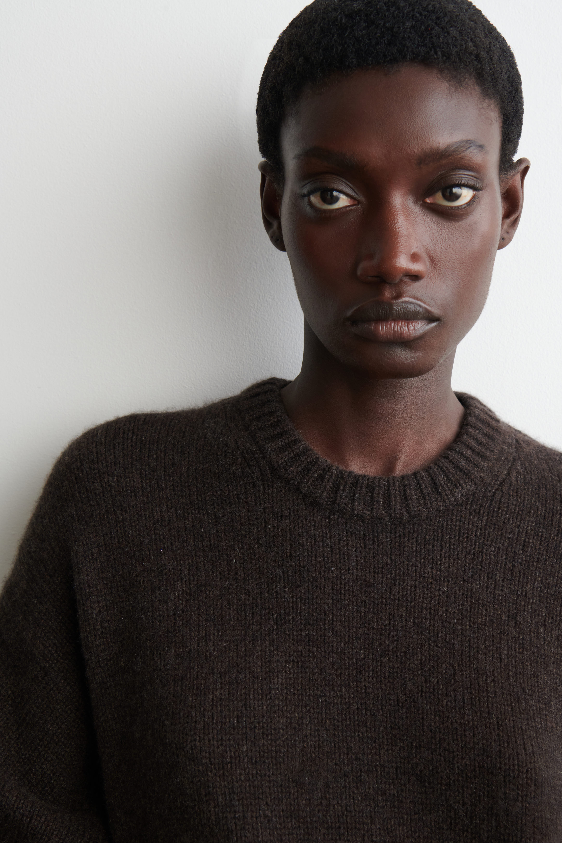 CHUNKY PURE CASHMERE CREW-NECK SWEATER - DARK BROWN | COS US