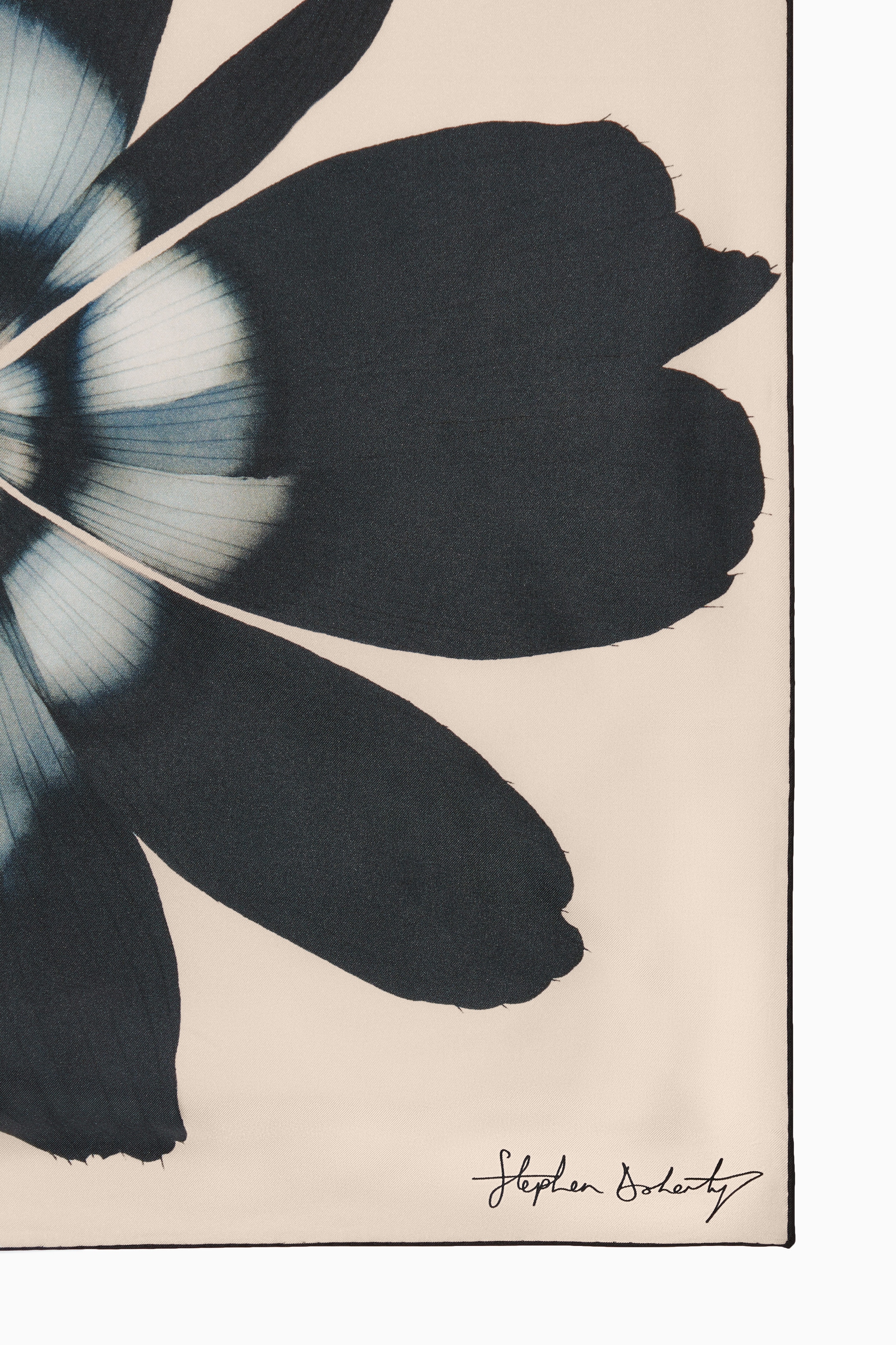 StillMedia/DescriptiveDetail