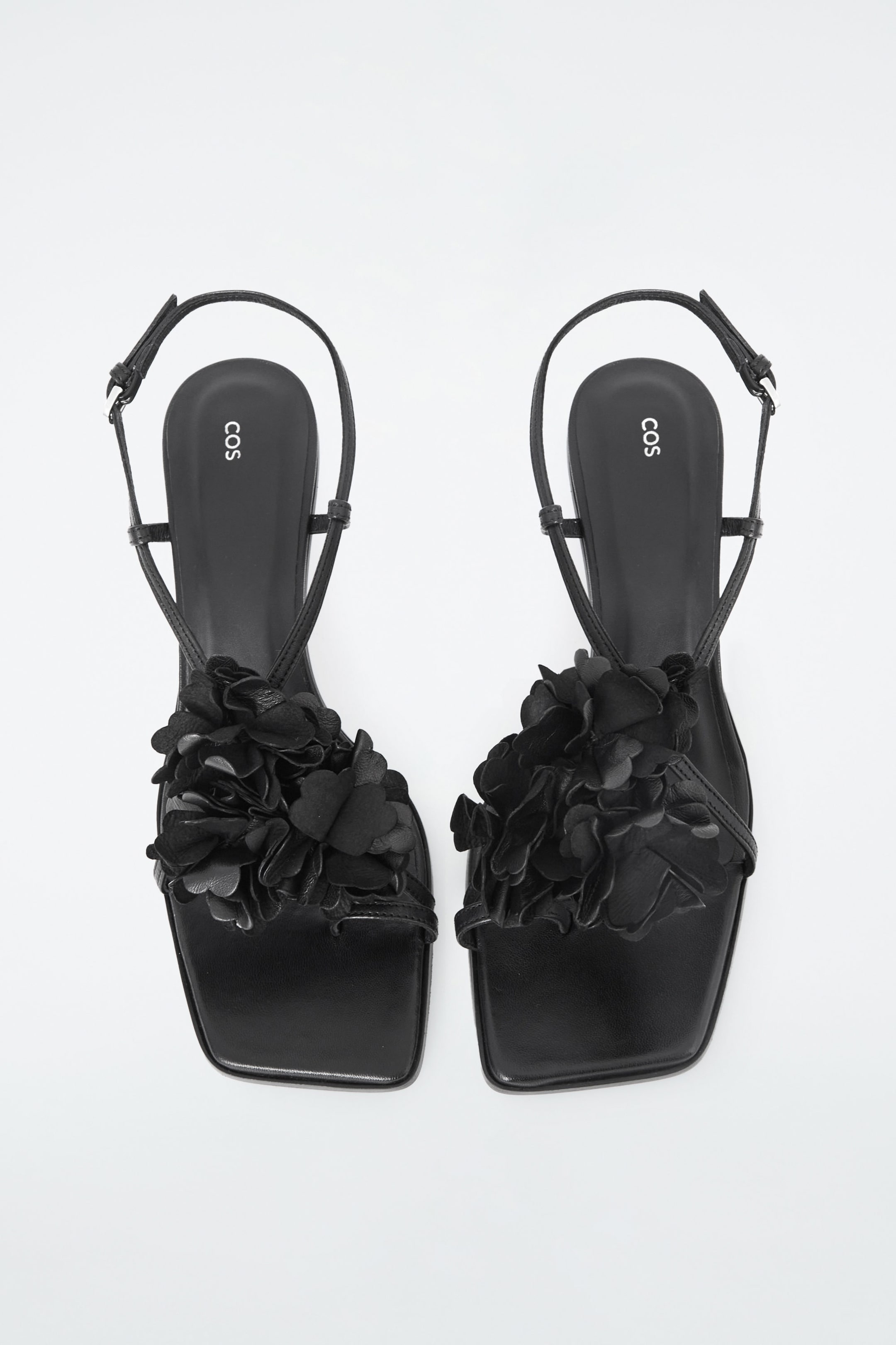 StillMedia/DescriptiveStillLife