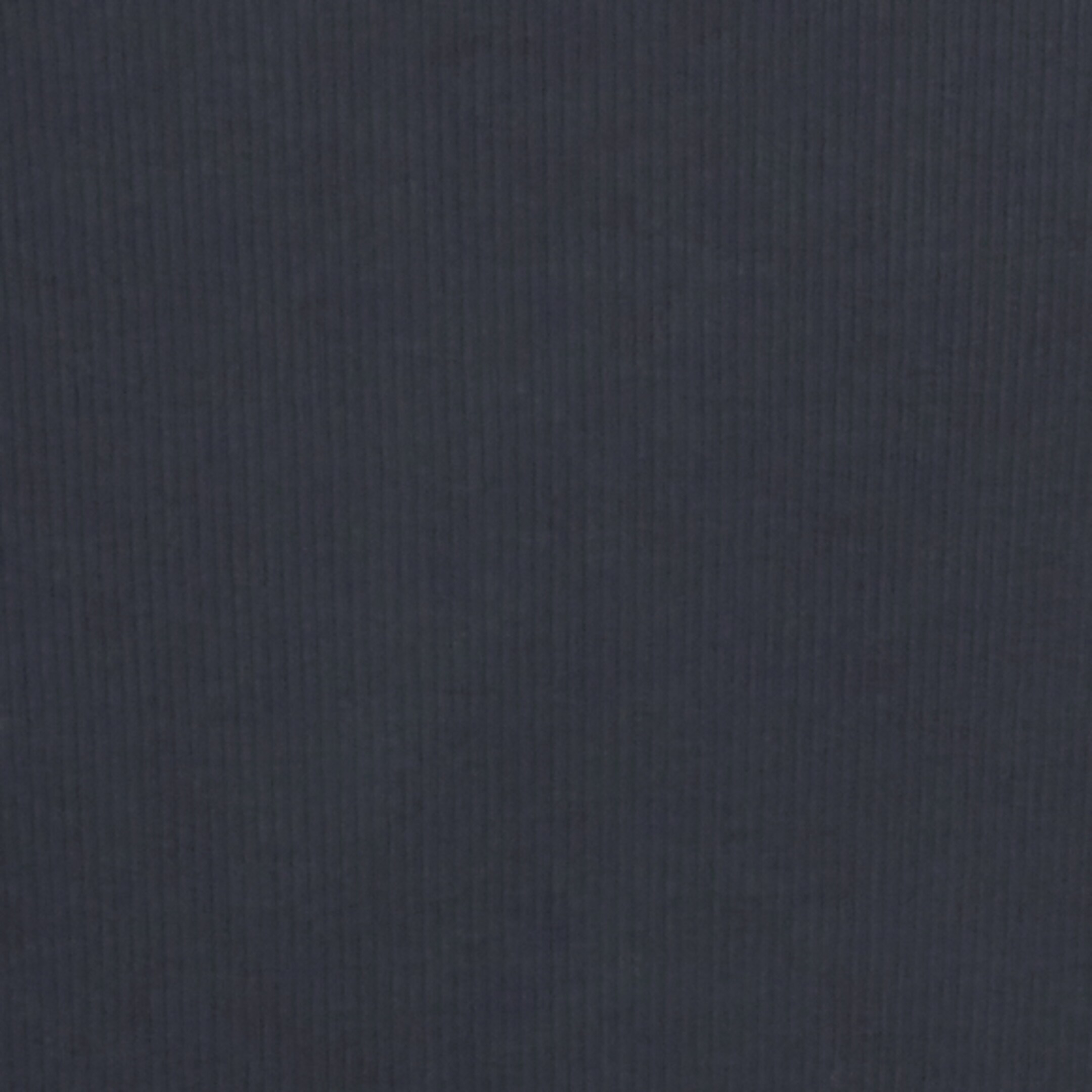 Ingrandisci l'immagine: RIBBED JERSEY LONG-SLEEVED TOP - NAVY - DONNA | H&M CH 2