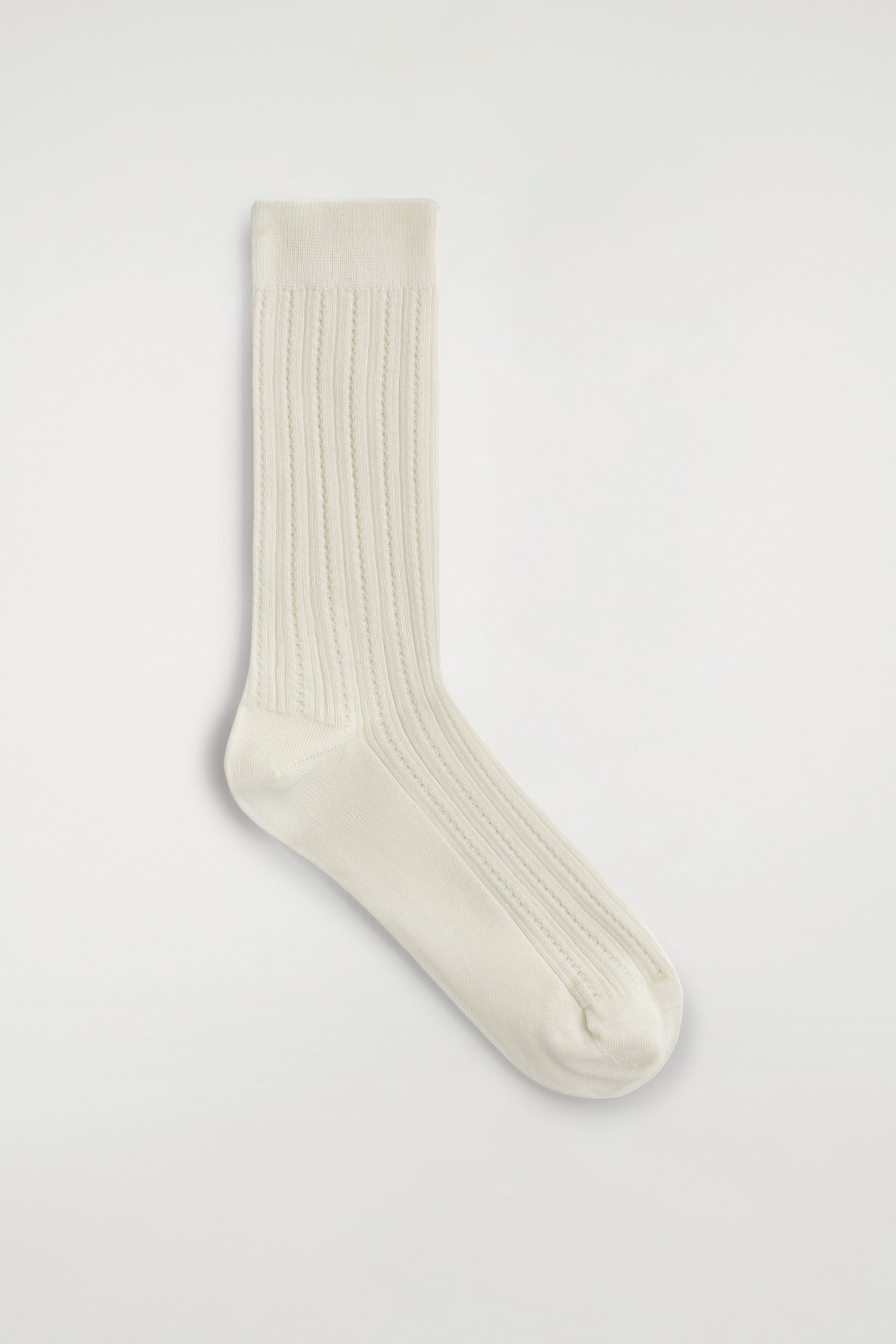 StillMedia/DescriptiveStillLife