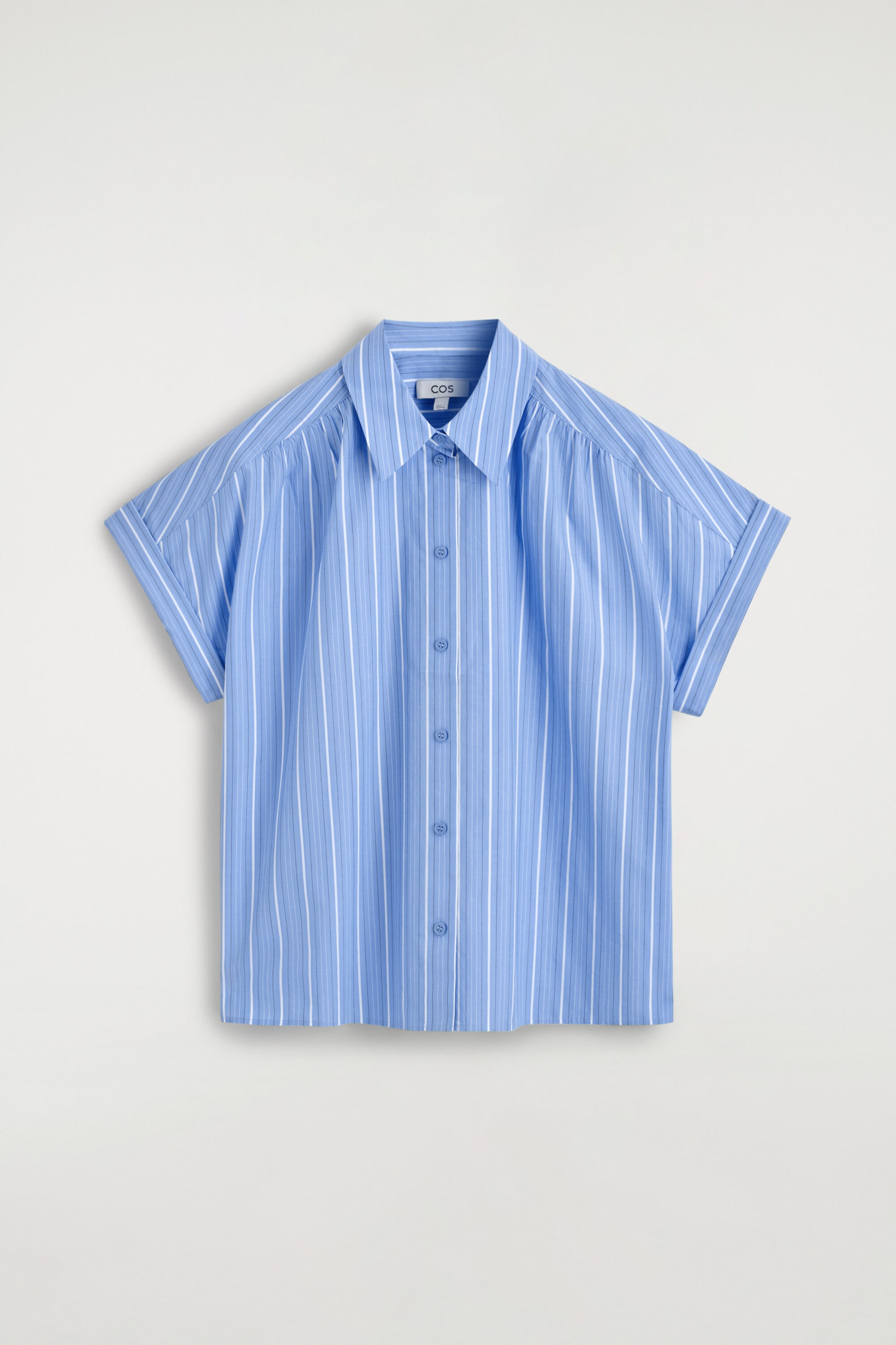 StillMedia/DescriptiveStillLife