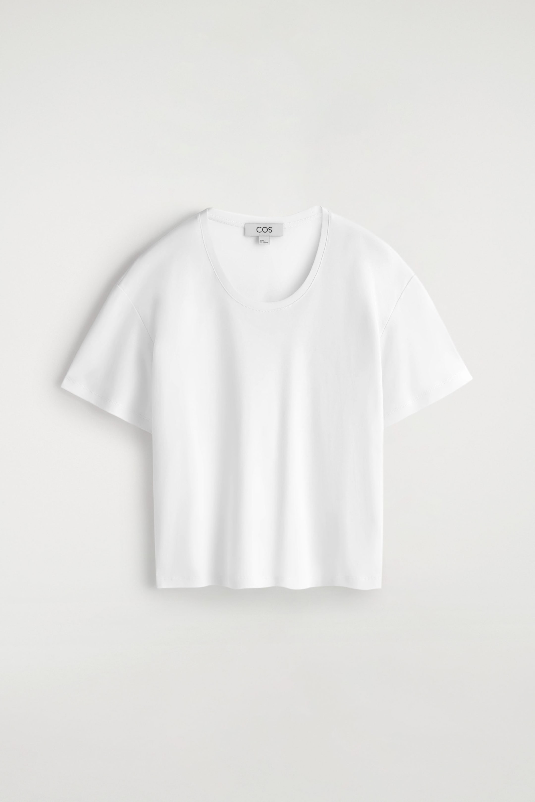 StillMedia/DescriptiveStillLife