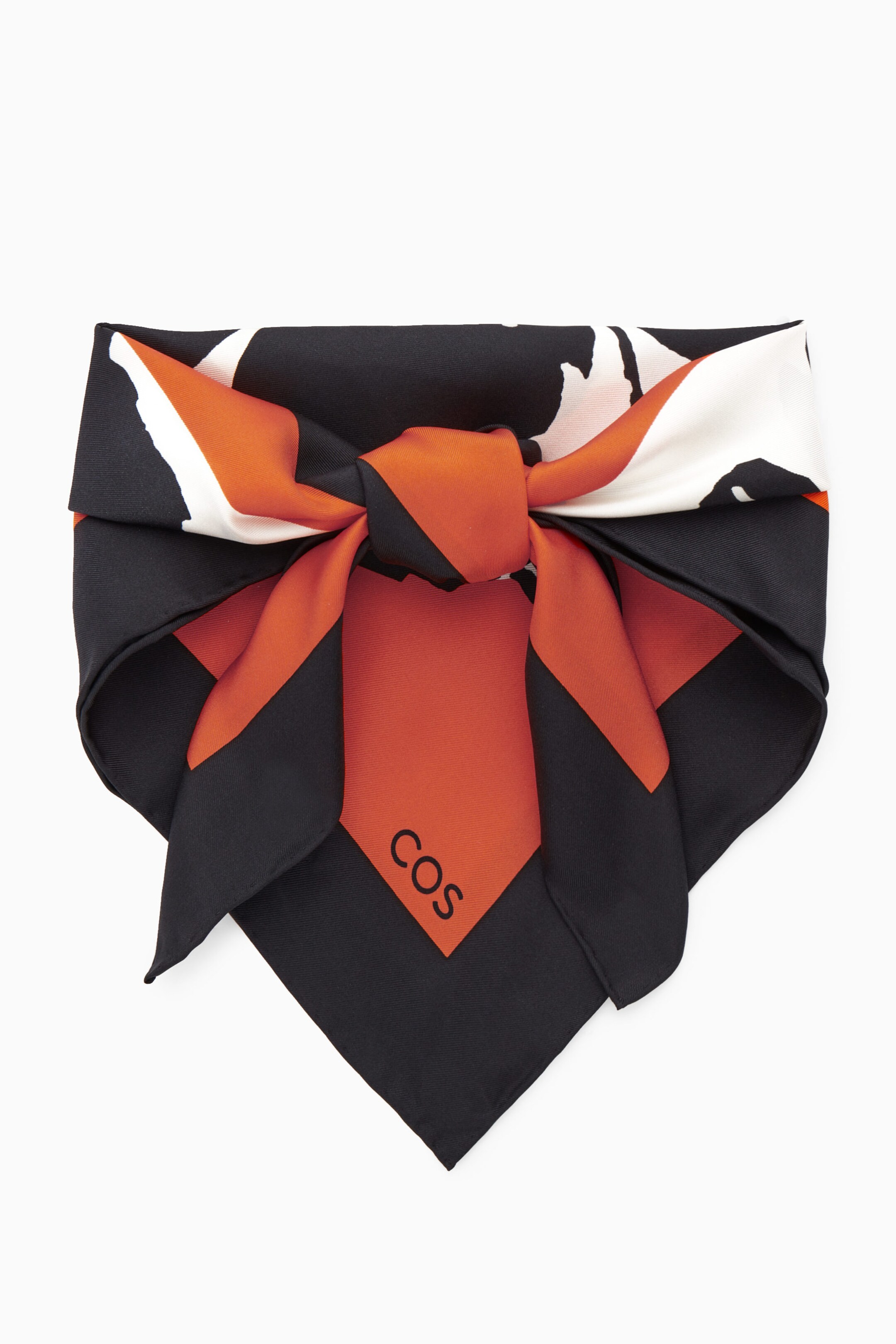 StillMedia/DescriptiveStillLife