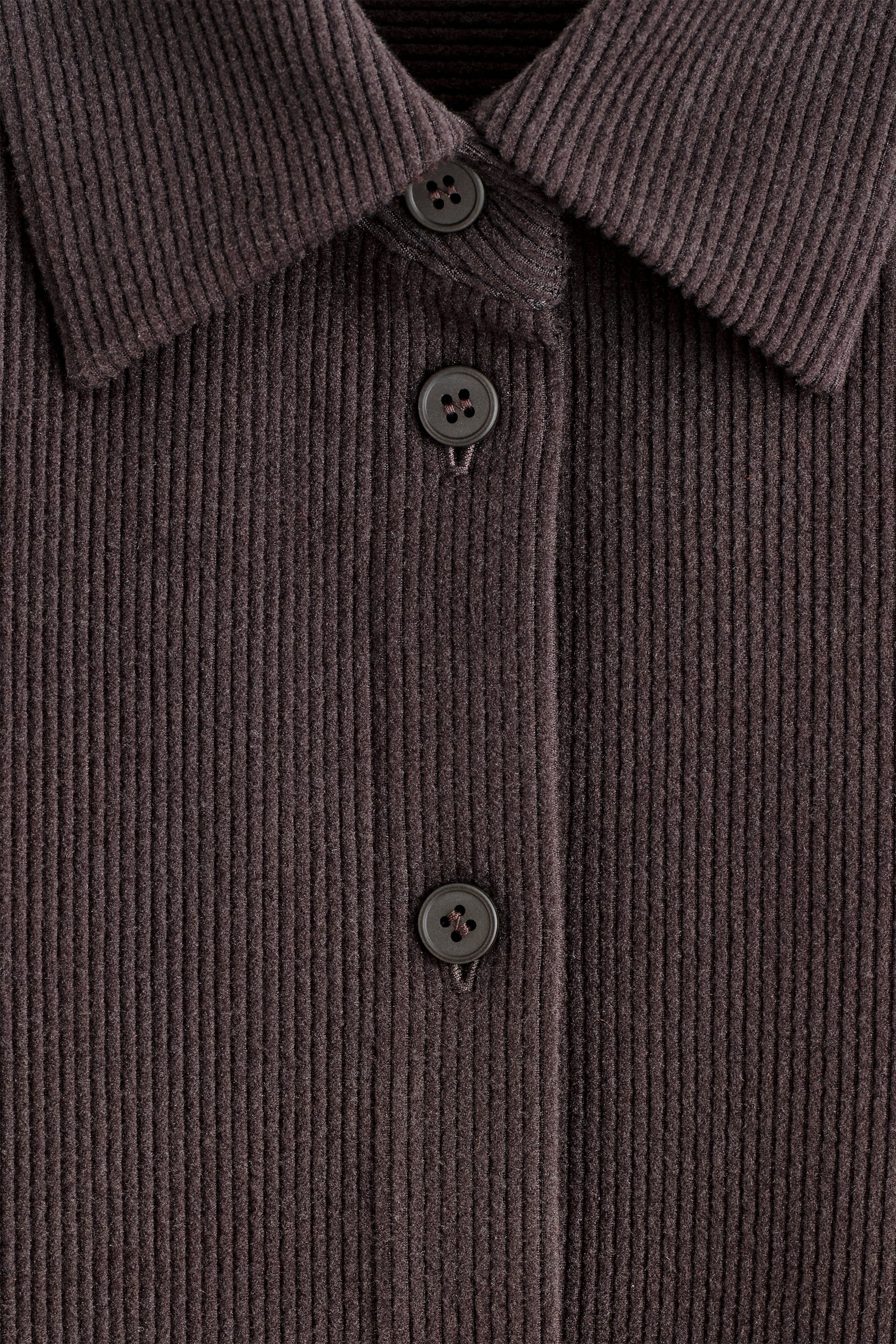 StillMedia/DescriptiveDetail