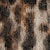 BROWN / LEOPARD