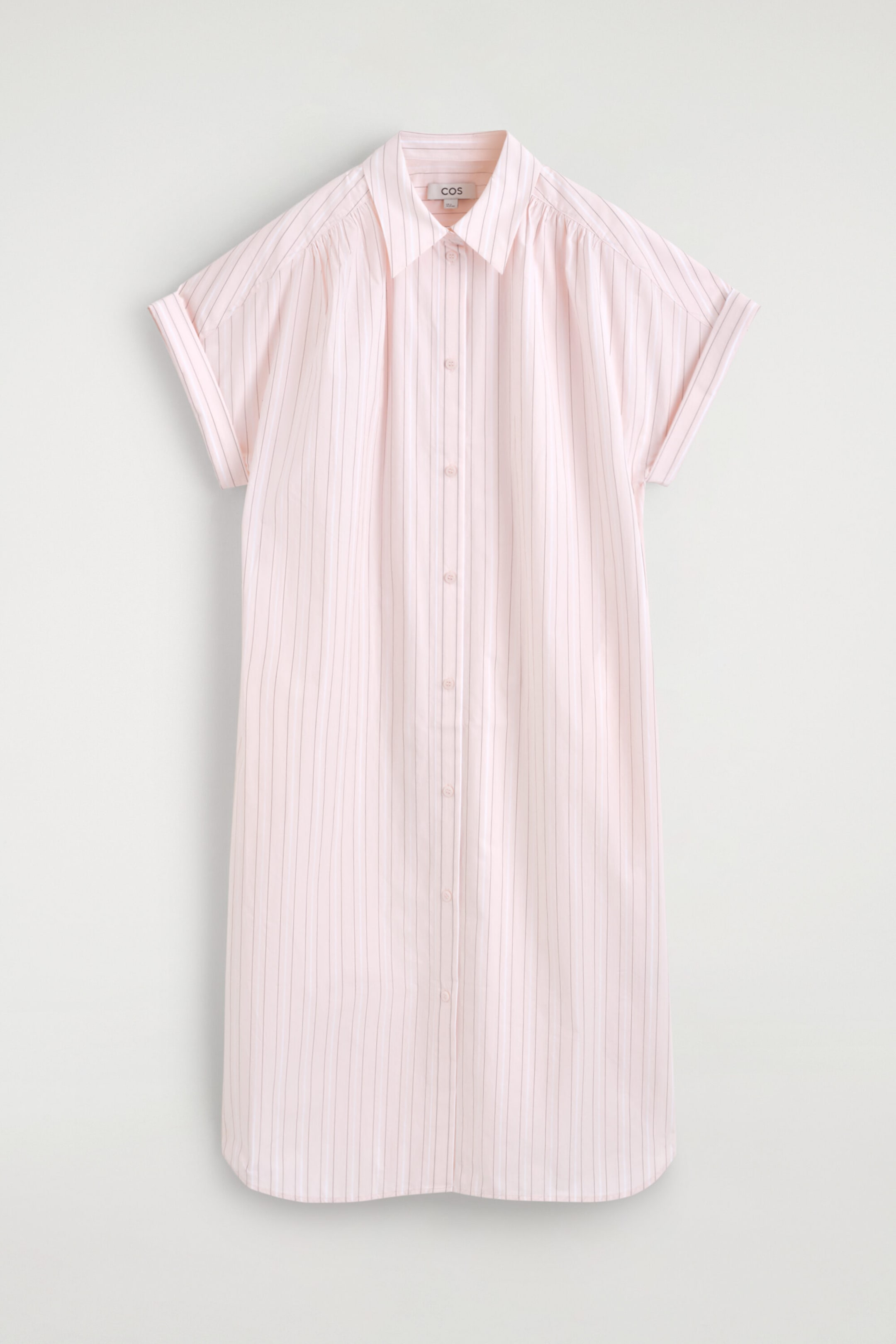 StillMedia/DescriptiveStillLife