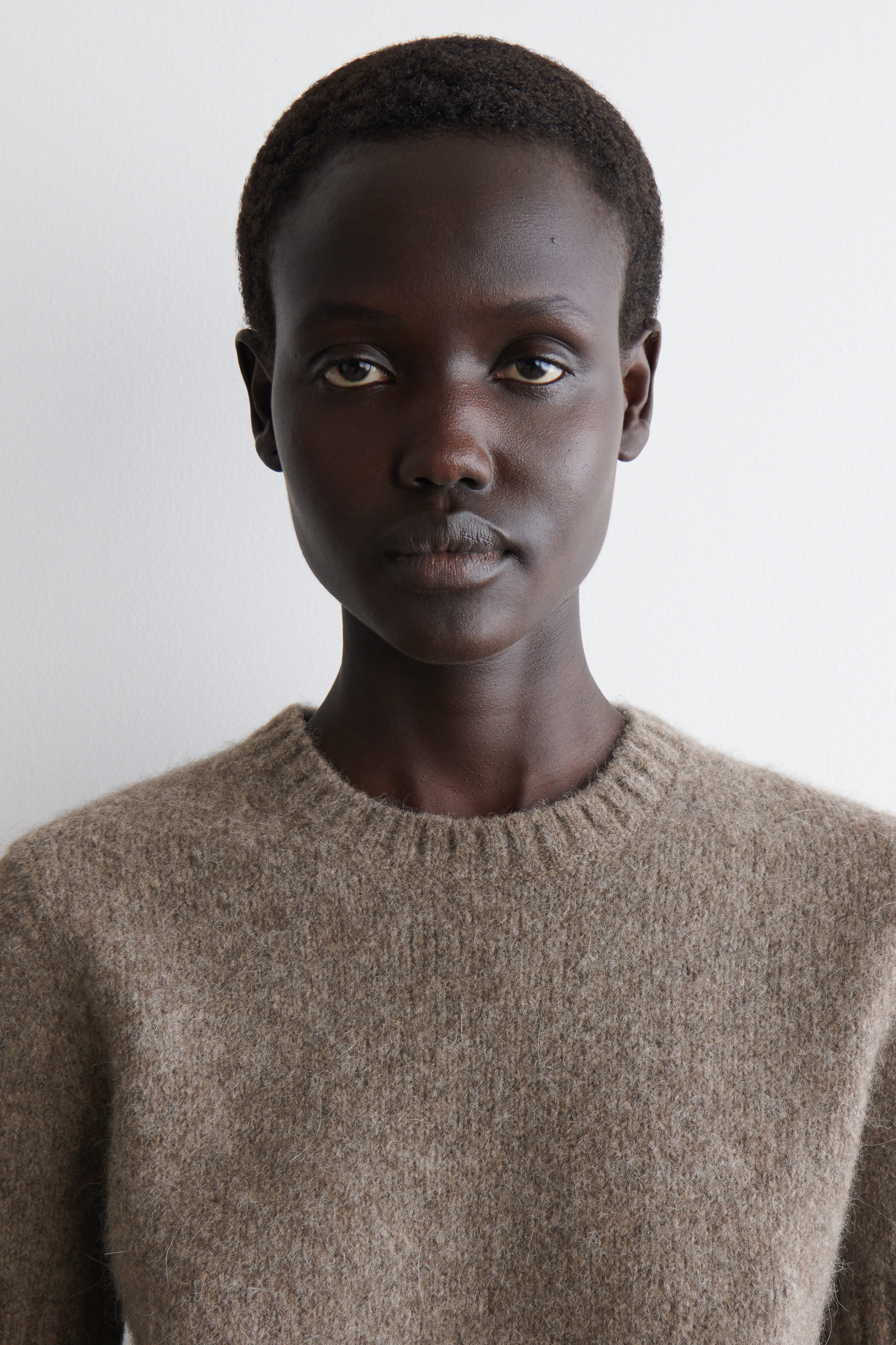 KNITTED ALPACA-BLEND T-SHIRT - TAUPE MÉLANGE | COS