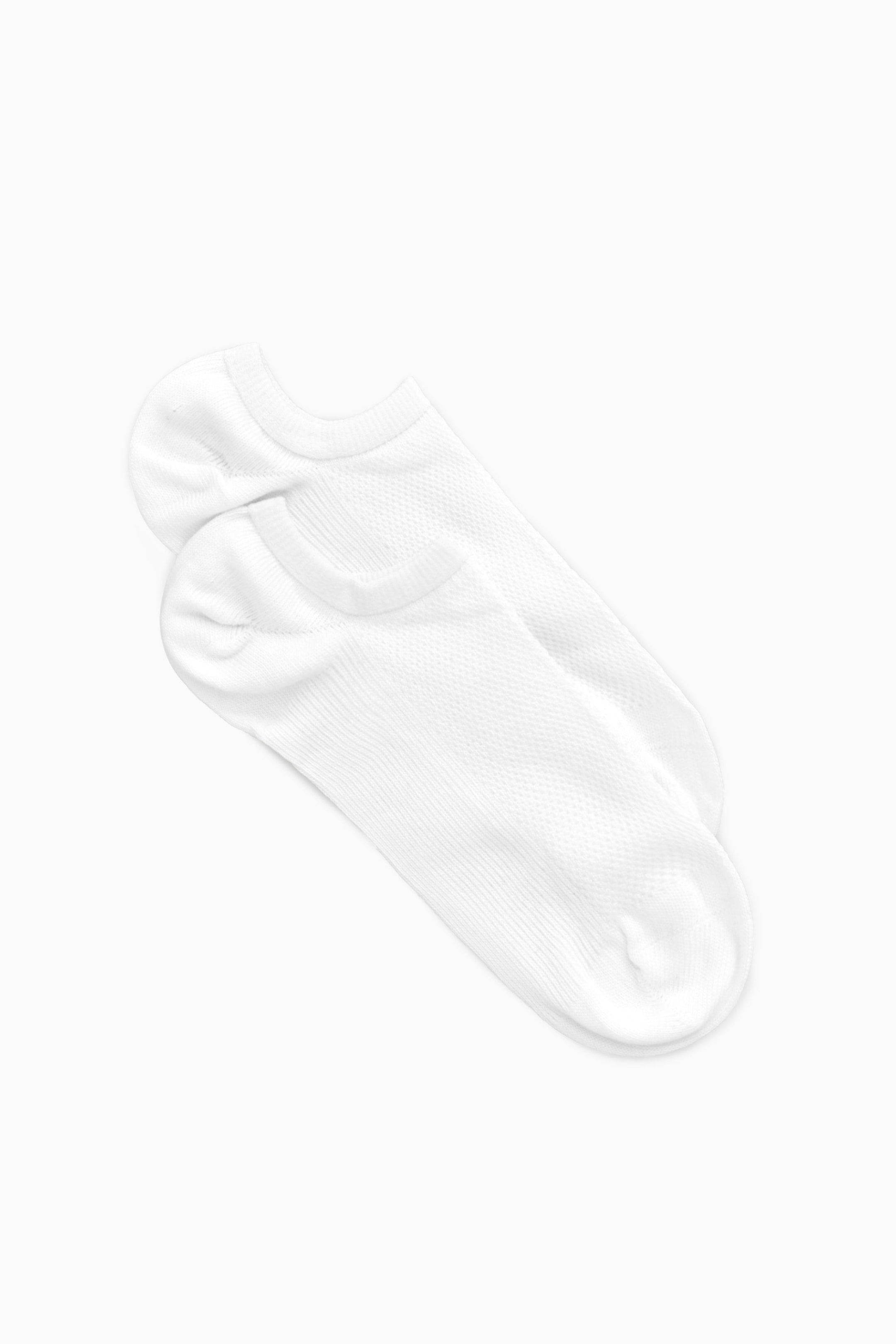 StillMedia/DescriptiveStillLife