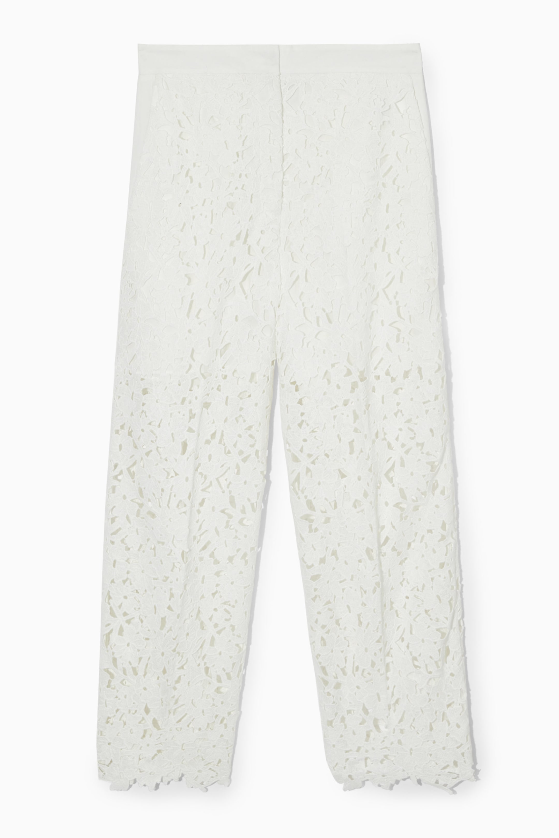 StillMedia/DescriptiveStillLife