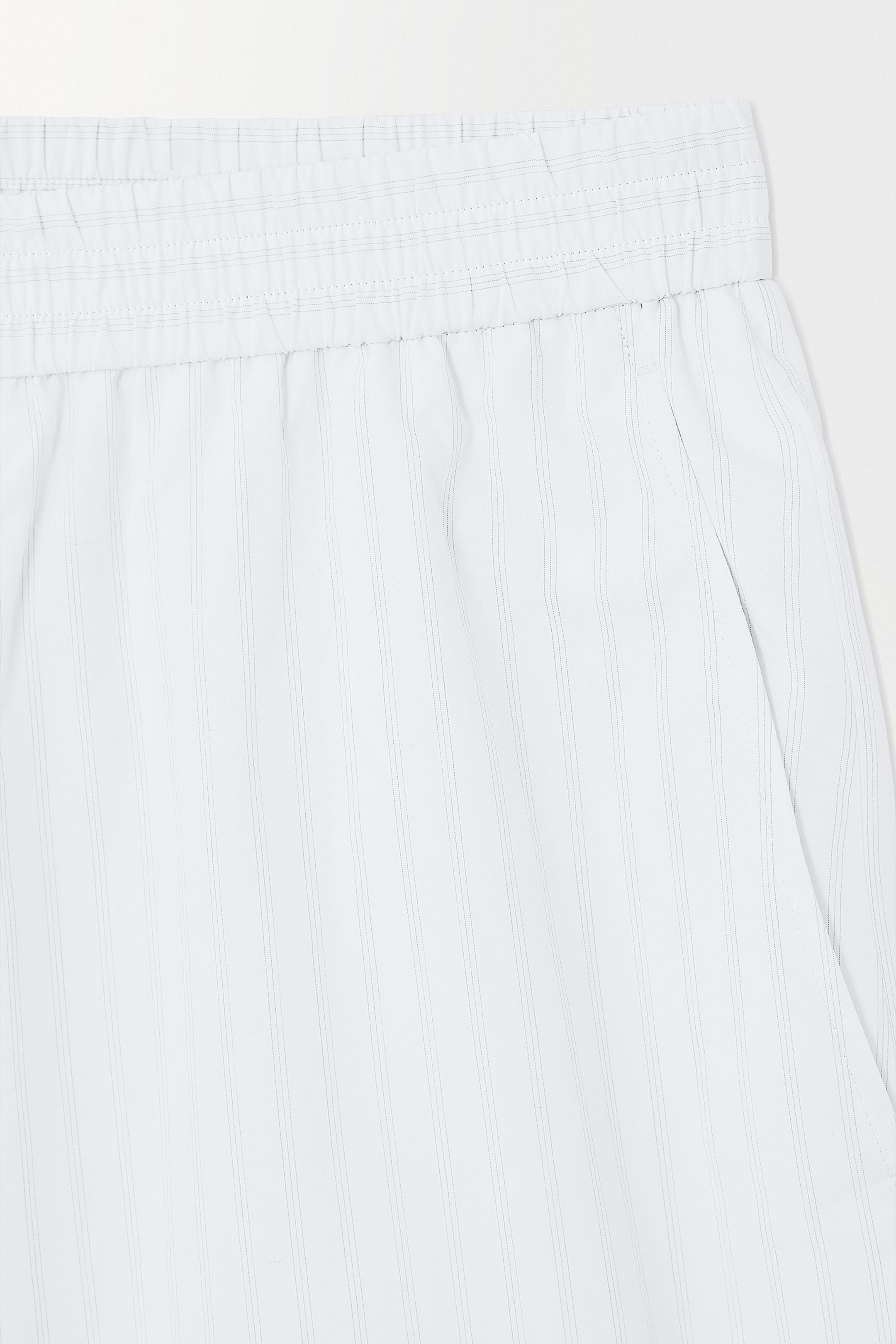 THE PINSTRIPED SHORTS