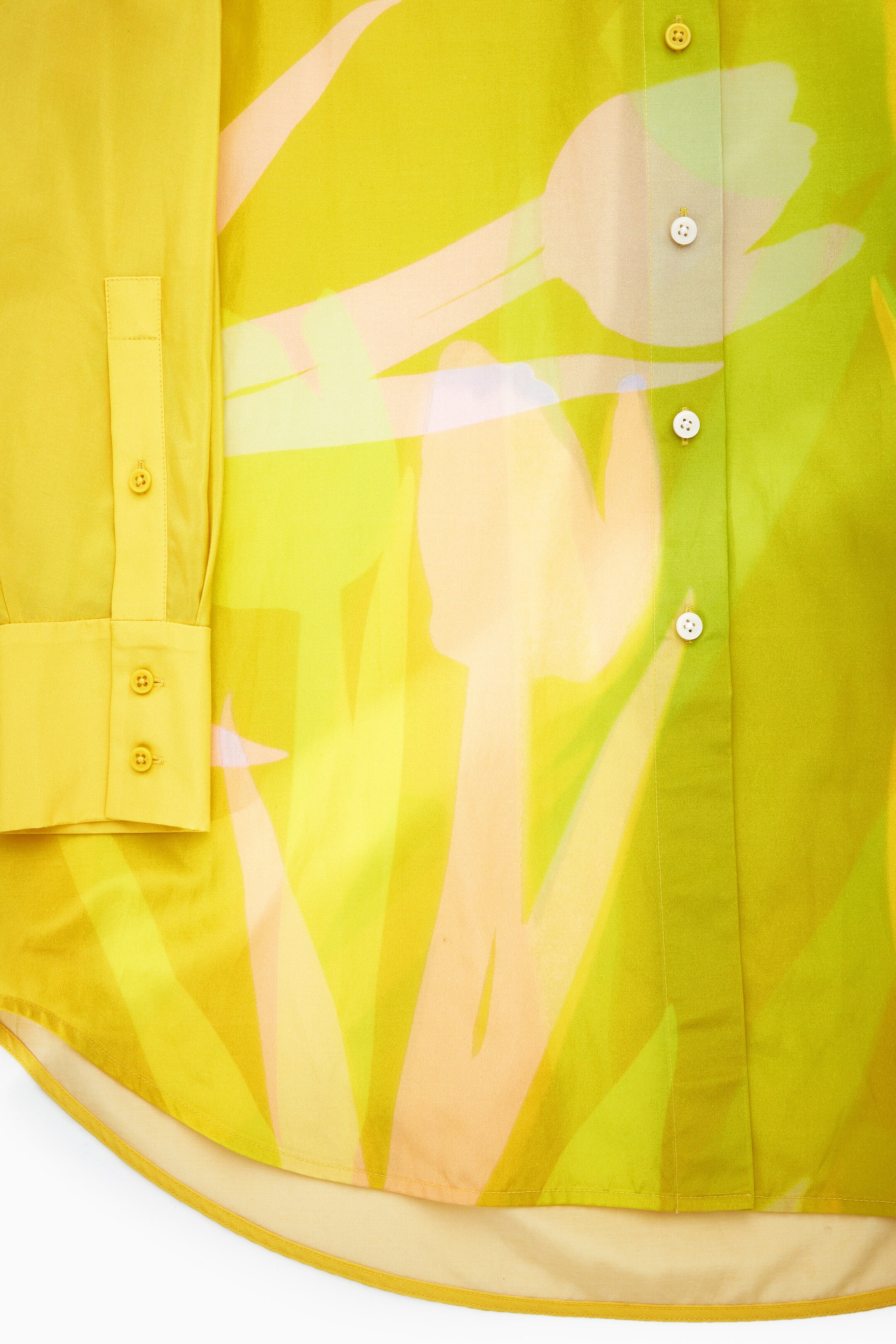 StillMedia/DescriptiveDetail