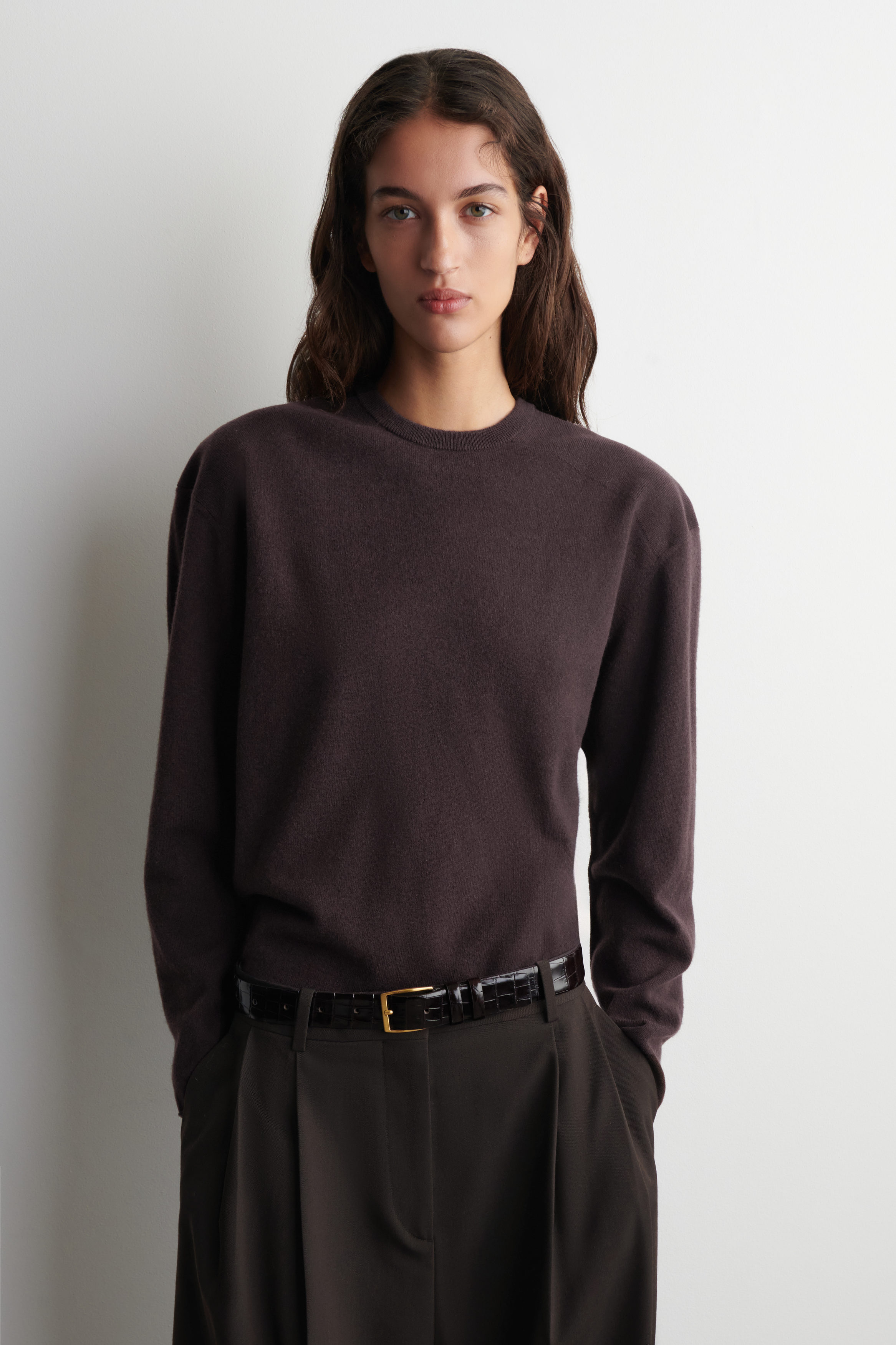 MERINO WOOL CREW-NECK SWEATER - DARK BROWN | COS US