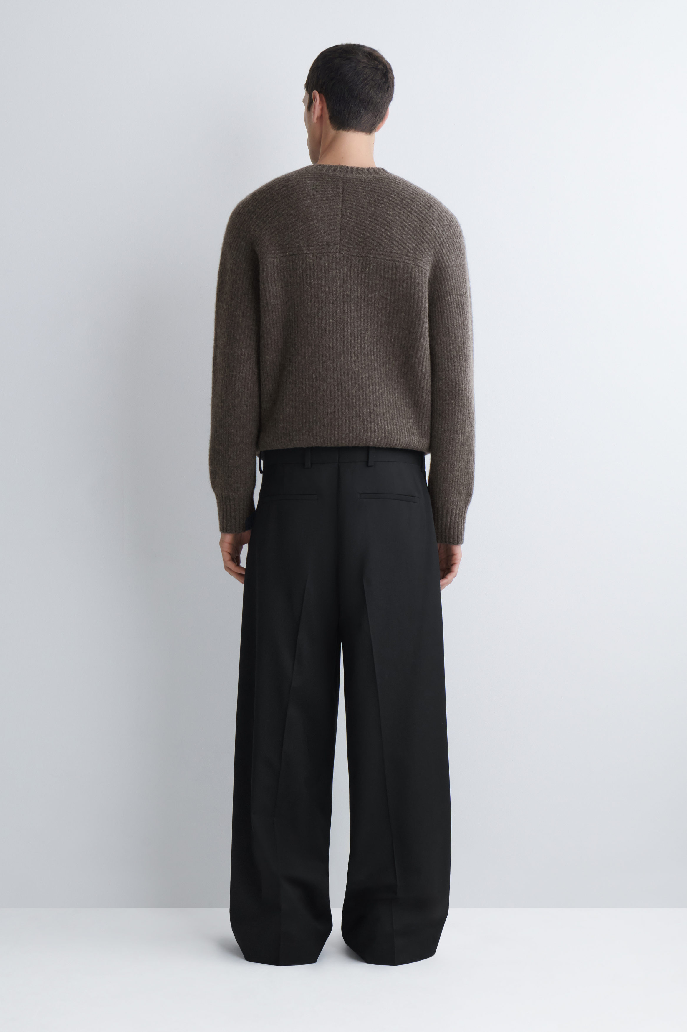 PLEATED WOOL WIDE-LEG PANTS - BLACK | COS US