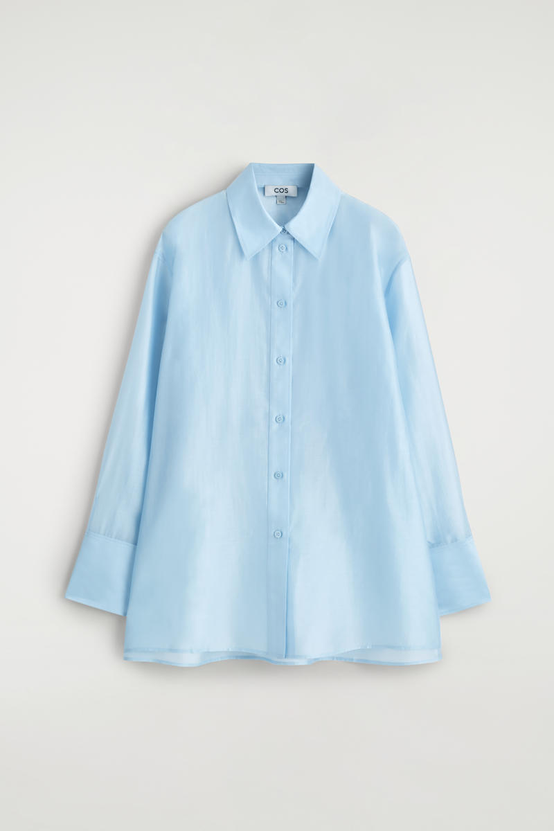 Sheer Shirt