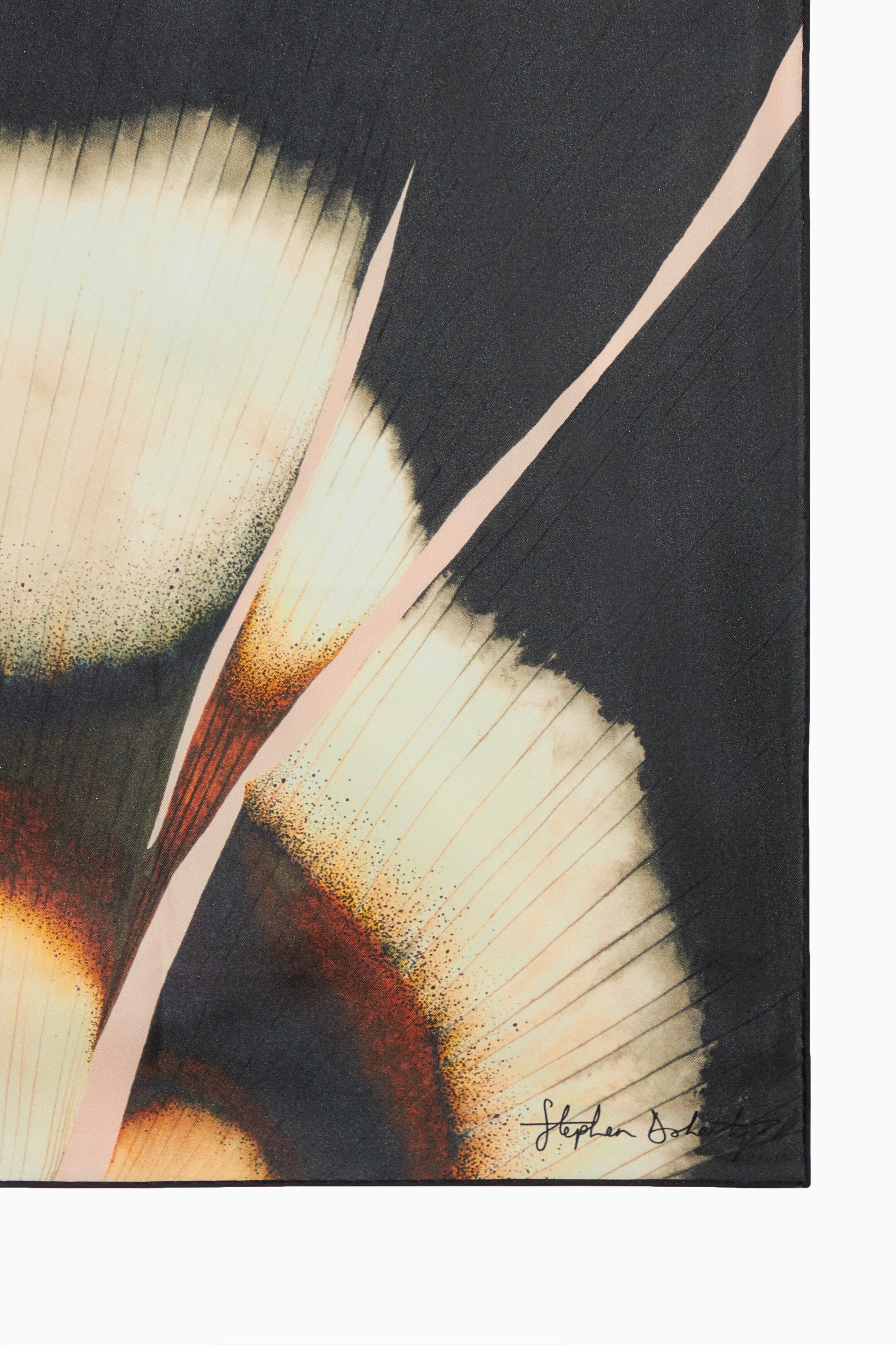 StillMedia/DescriptiveDetail