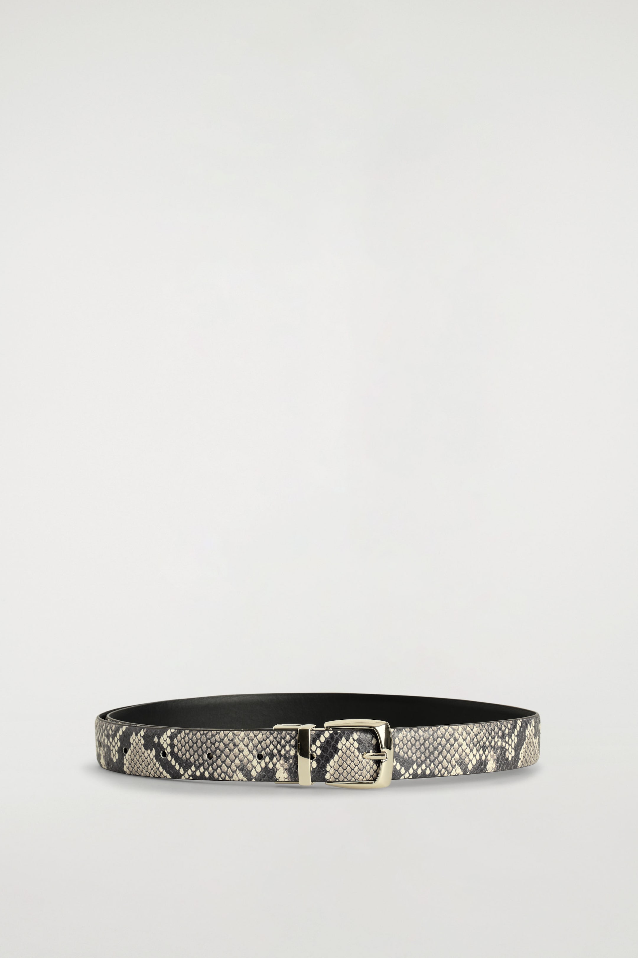 StillMedia/DescriptiveStillLife