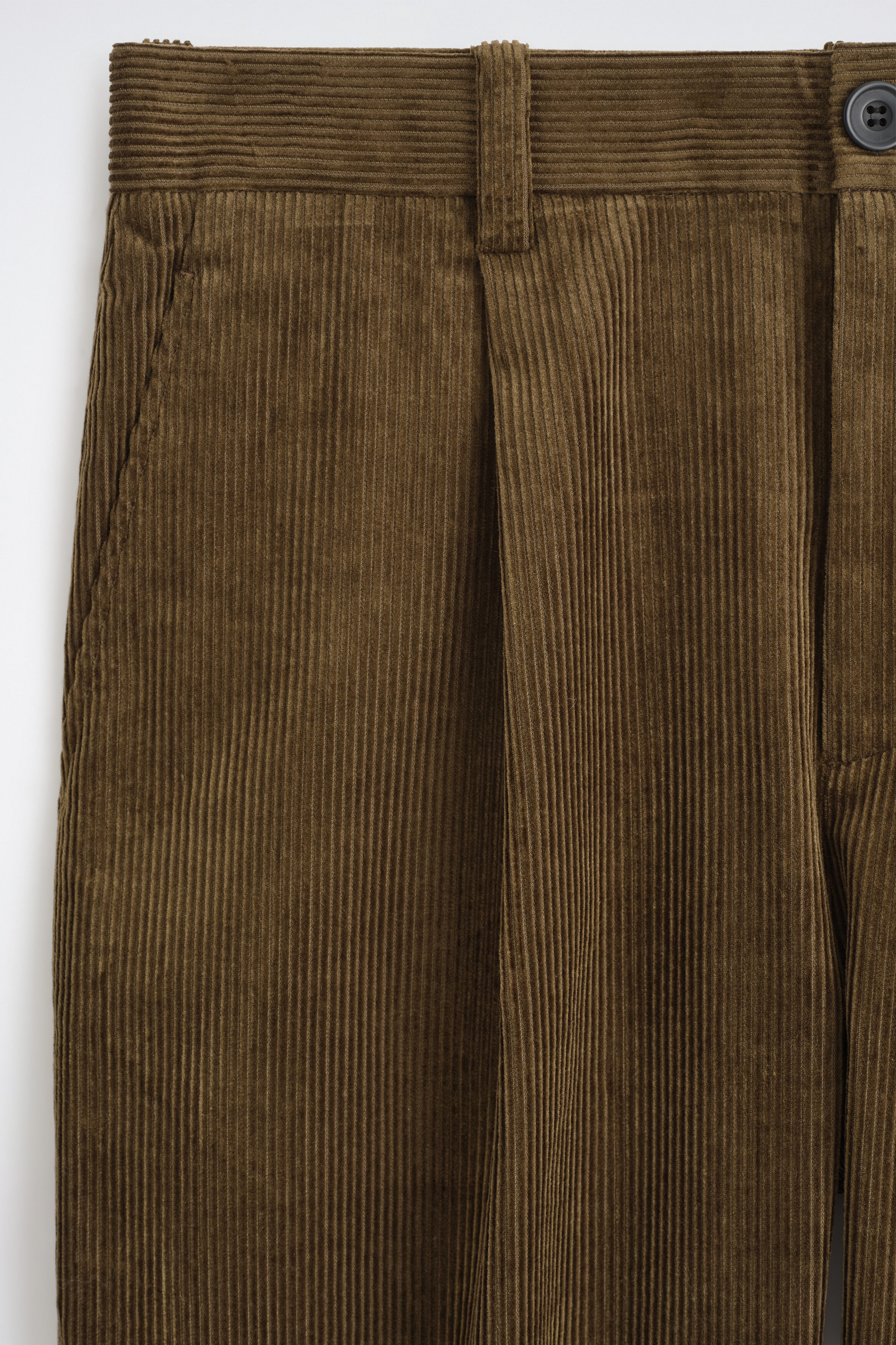 The Pleated Relaxed-Fit Tapered Corduroy Pants are shown in a close-up of the upper front, highlighting the olive-brown ribbed fabric. The design features a single vertical pleat, a horizontally ribbed waistband with a belt loop, a side pocket, and a dark button closure. The Pleated Relaxed-Fit Tapered Corduroy Pants are shown in a close-up of the upper front, highlighting the olive-brown ribbed fabric. The design features a single vertical pleat, a horizontally ribbed waistband with a belt loop, a side pocket, and a dark button closure.