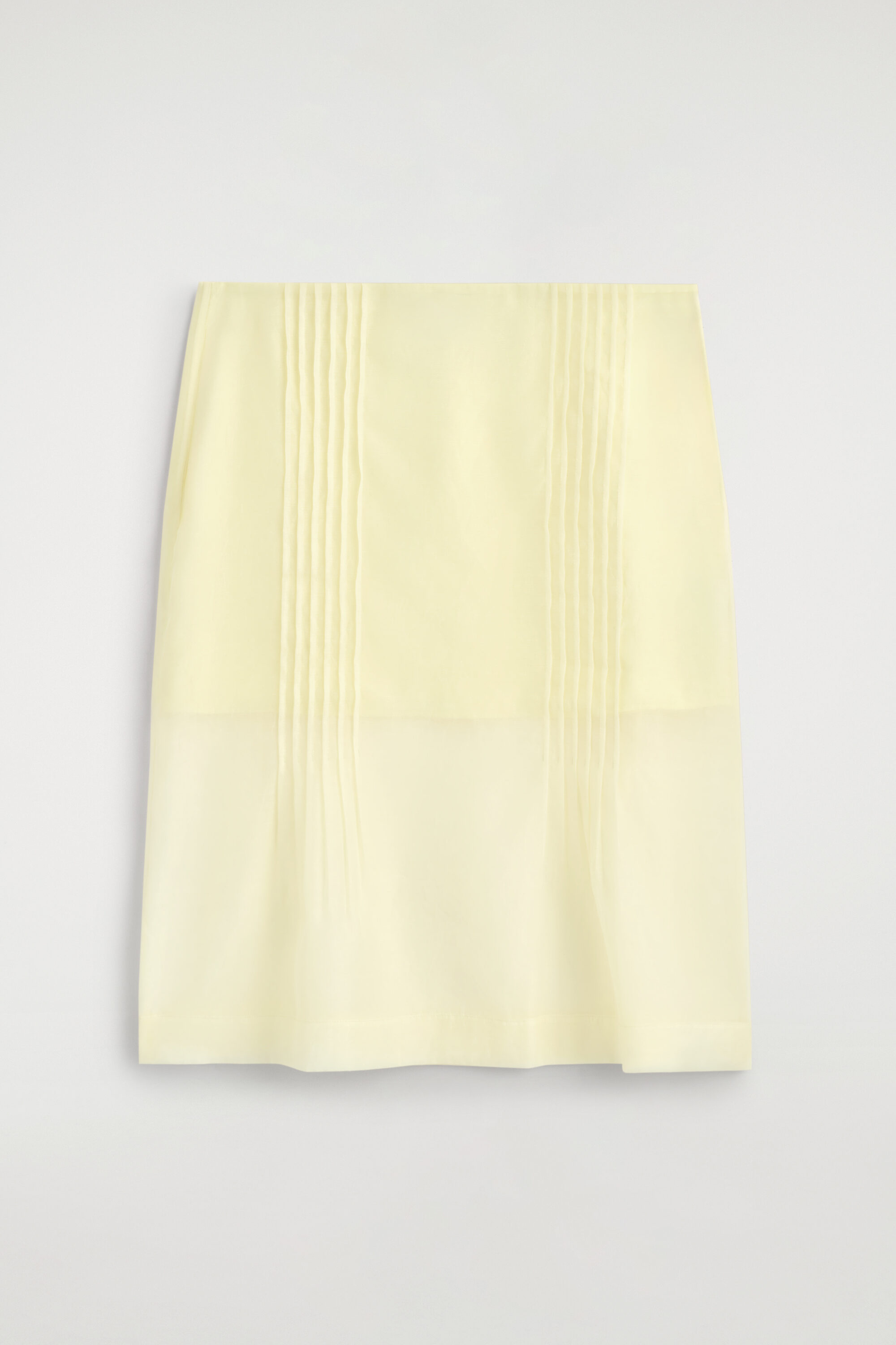 Sheer Pintucked Skirt