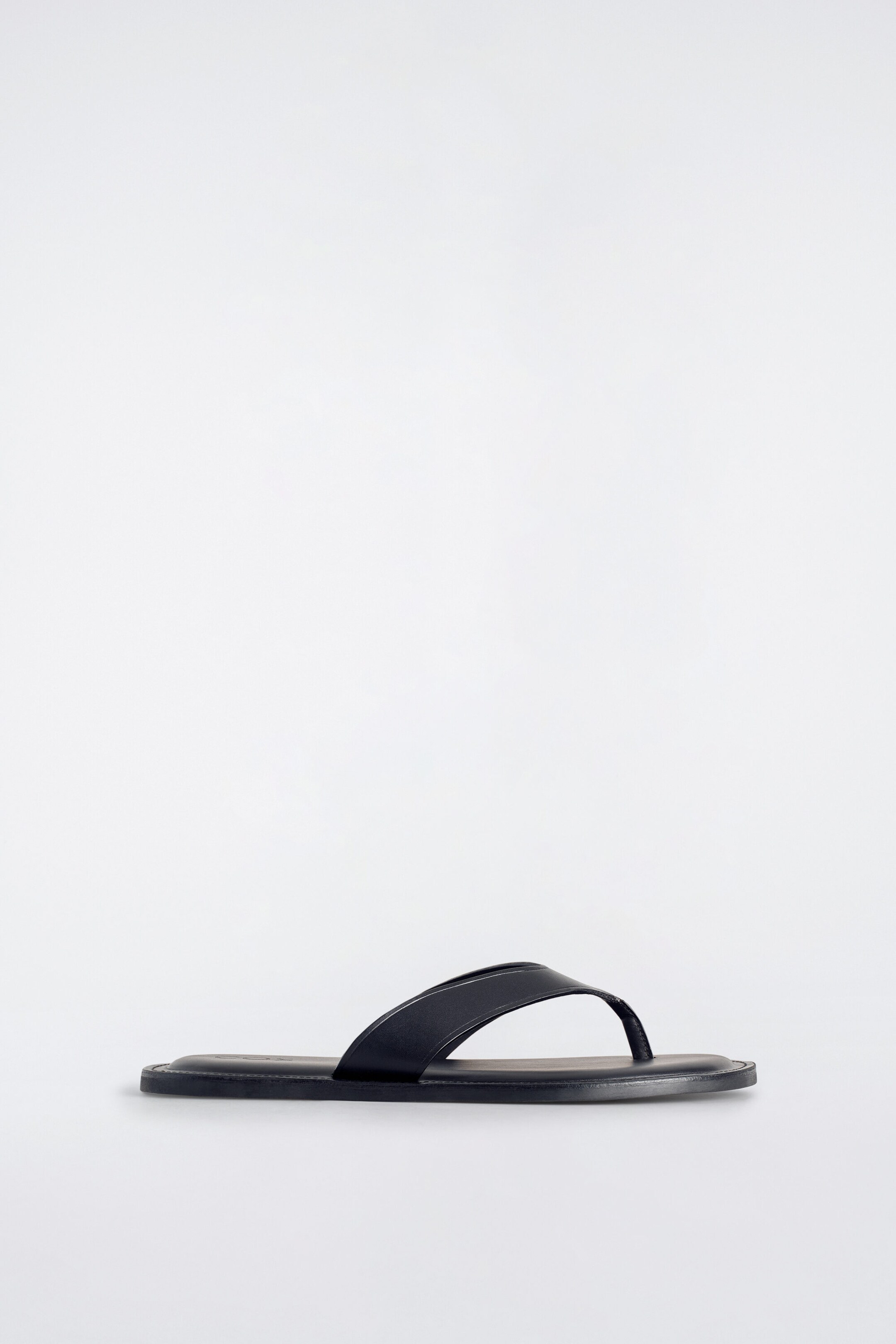 StillMedia/DescriptiveStillLife