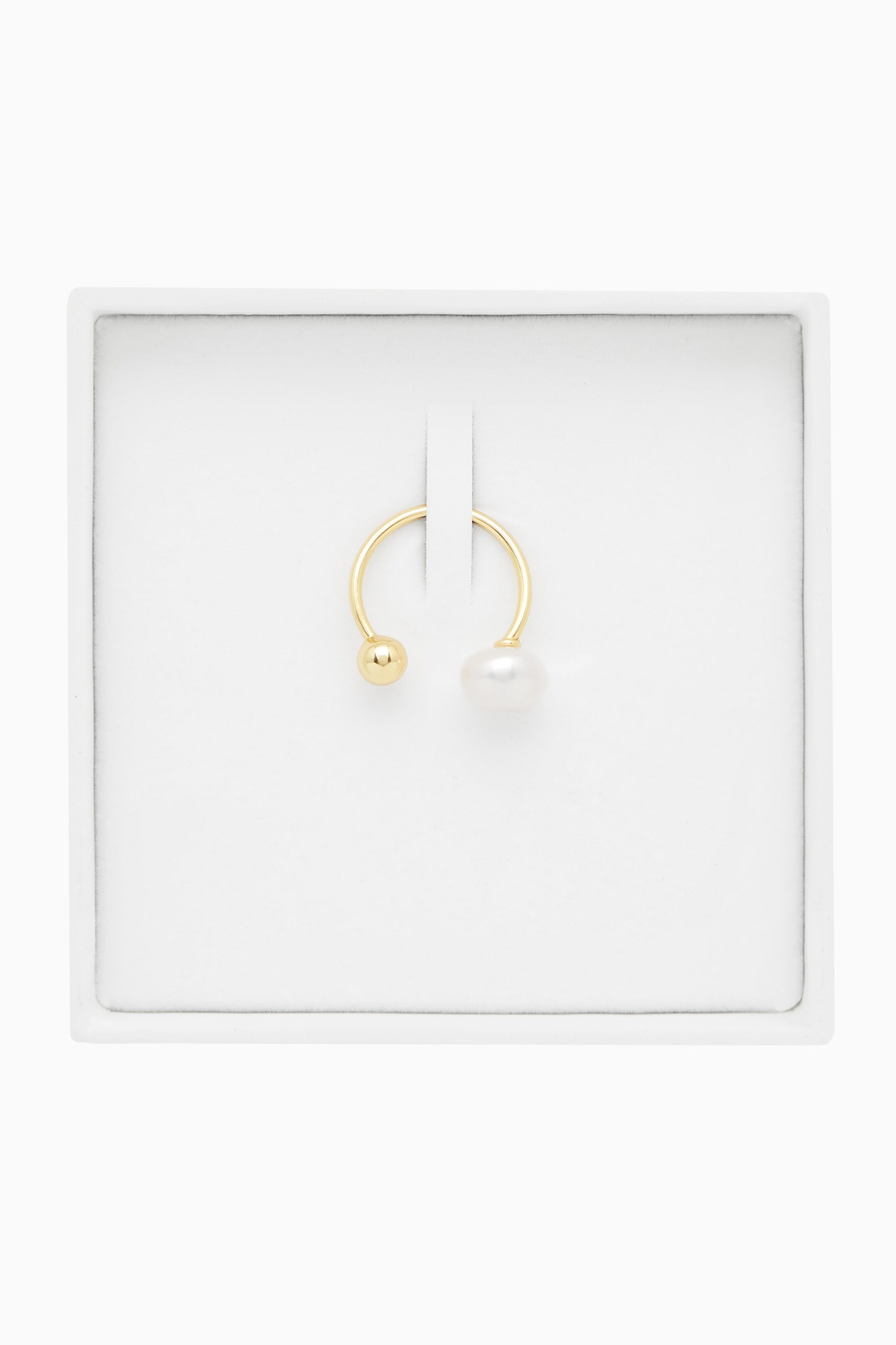 StillMedia/DescriptiveStillLife