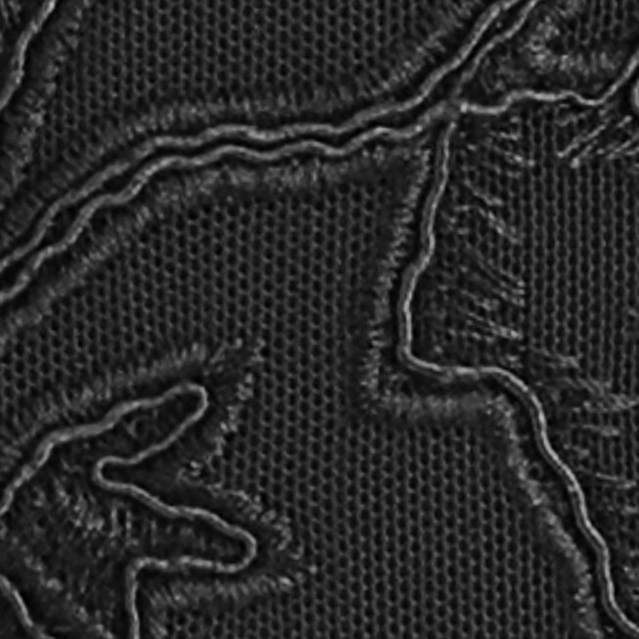 A close-up view displays the intricate texture of the black lace fabric, highlighting the fine mesh backdrop and raised, embroidered floral outlines. A close-up view displays the intricate texture of the black lace fabric, highlighting the fine mesh backdrop and raised, embroidered floral outlines.