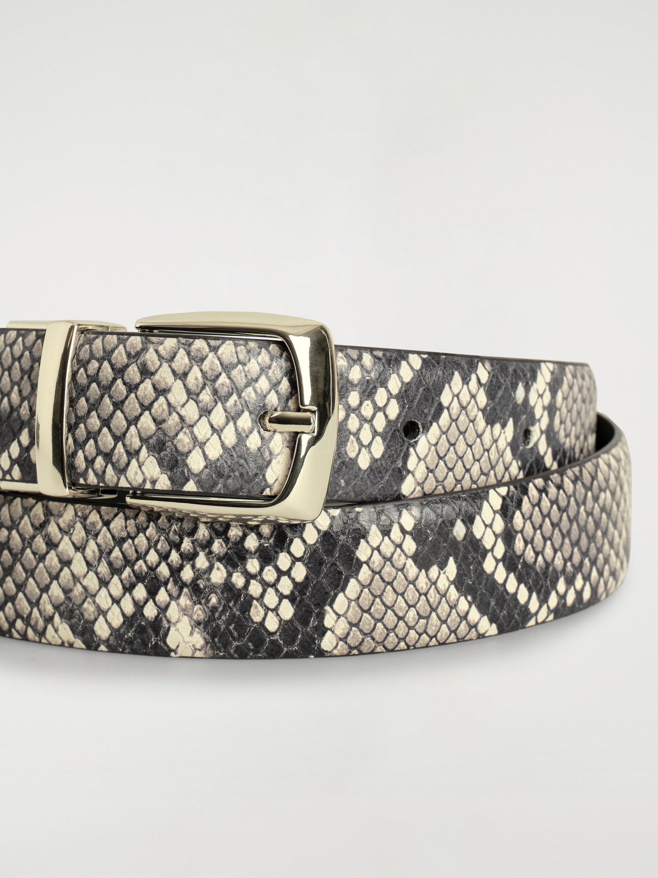 StillMedia/DescriptiveDetail