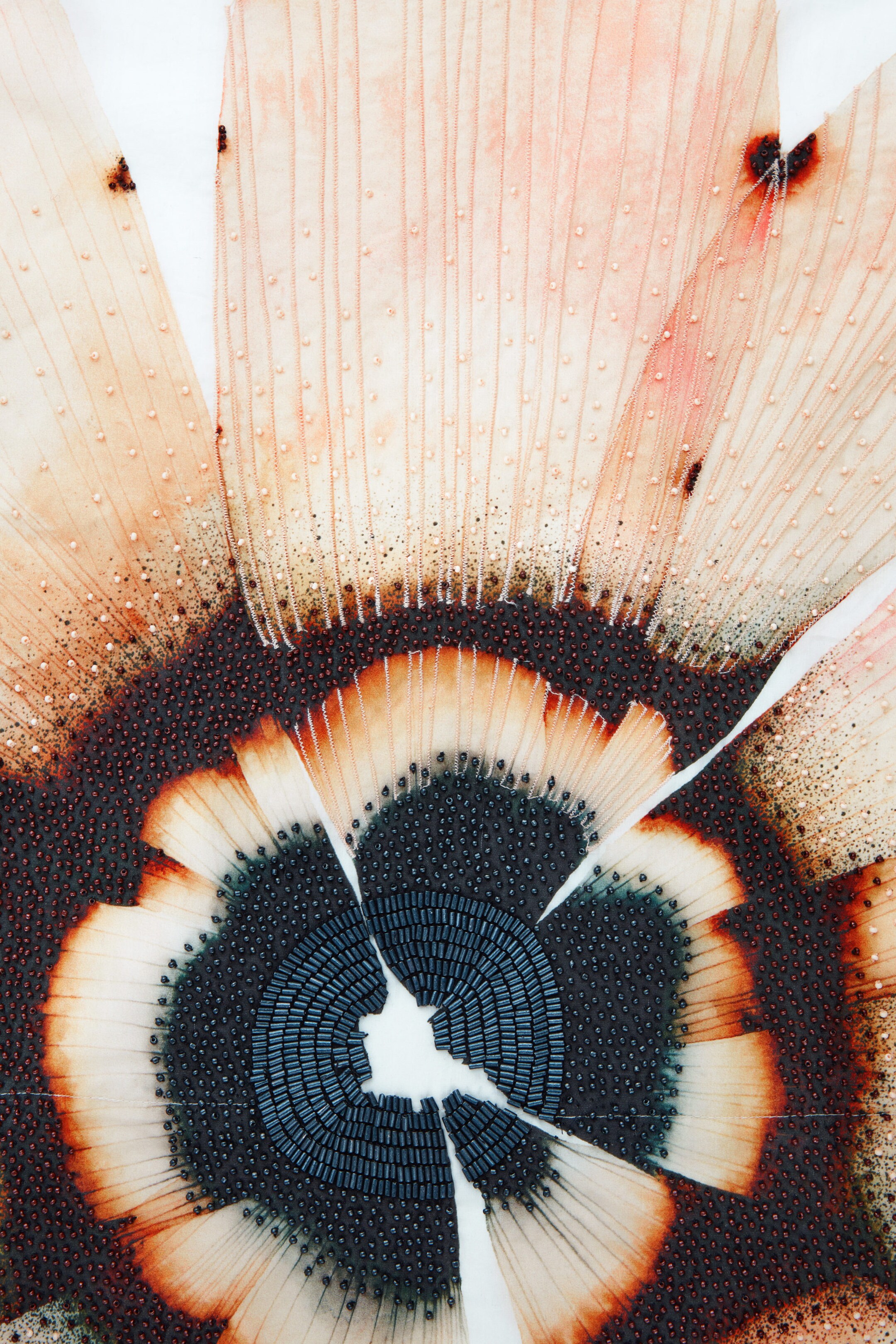 StillMedia/DescriptiveDetail