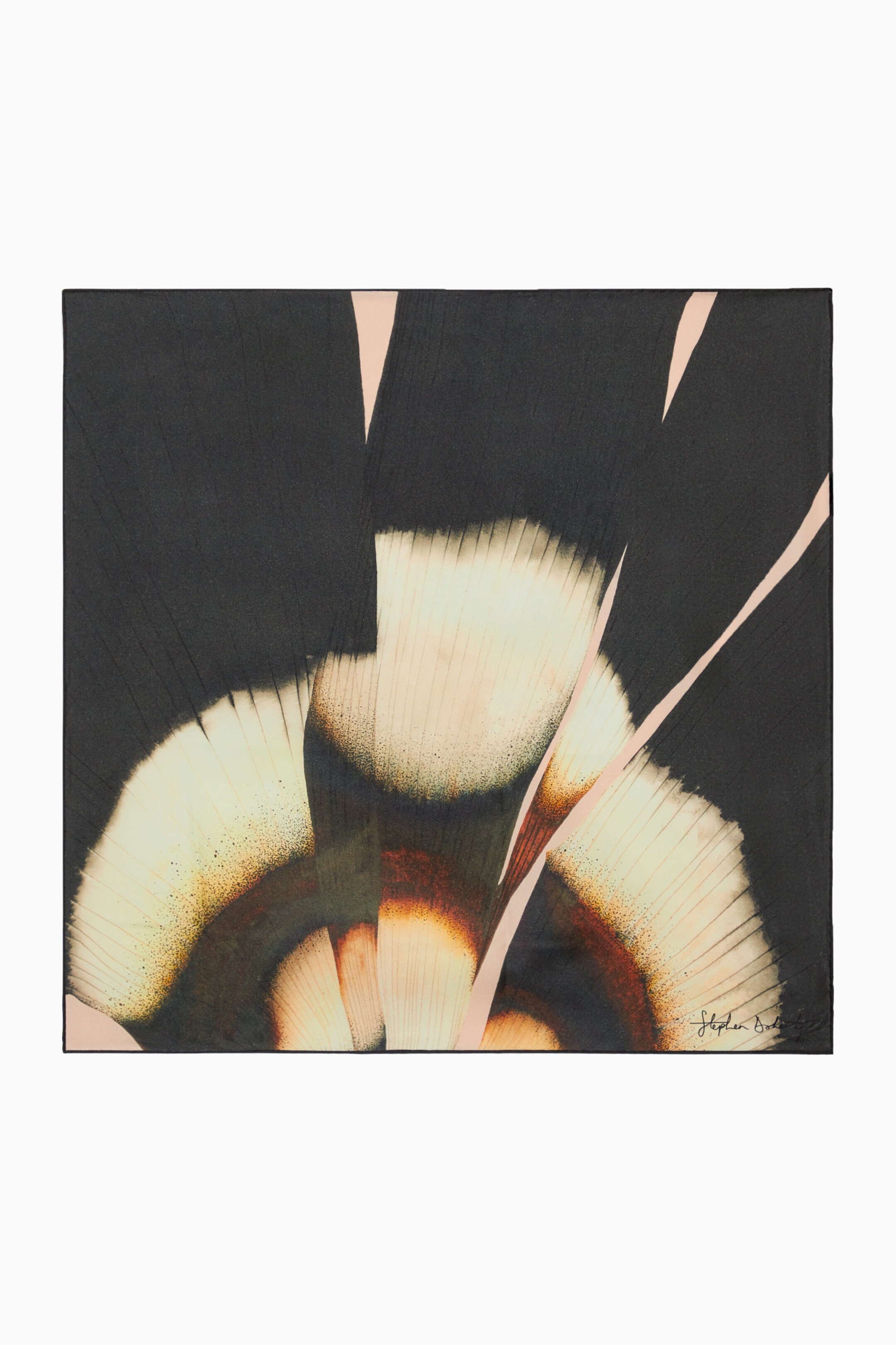 StillMedia/DescriptiveStillLife