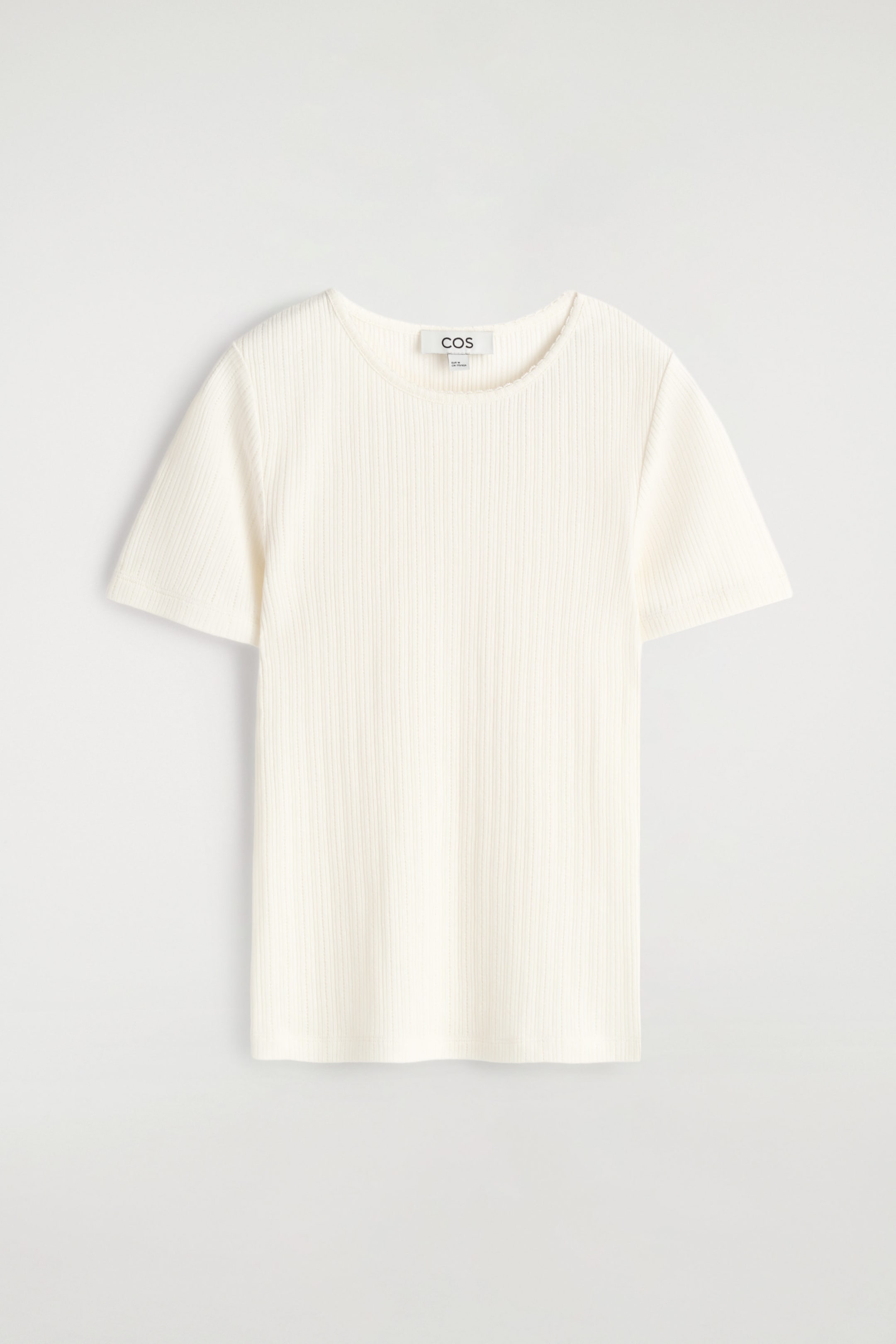 StillMedia/DescriptiveStillLife