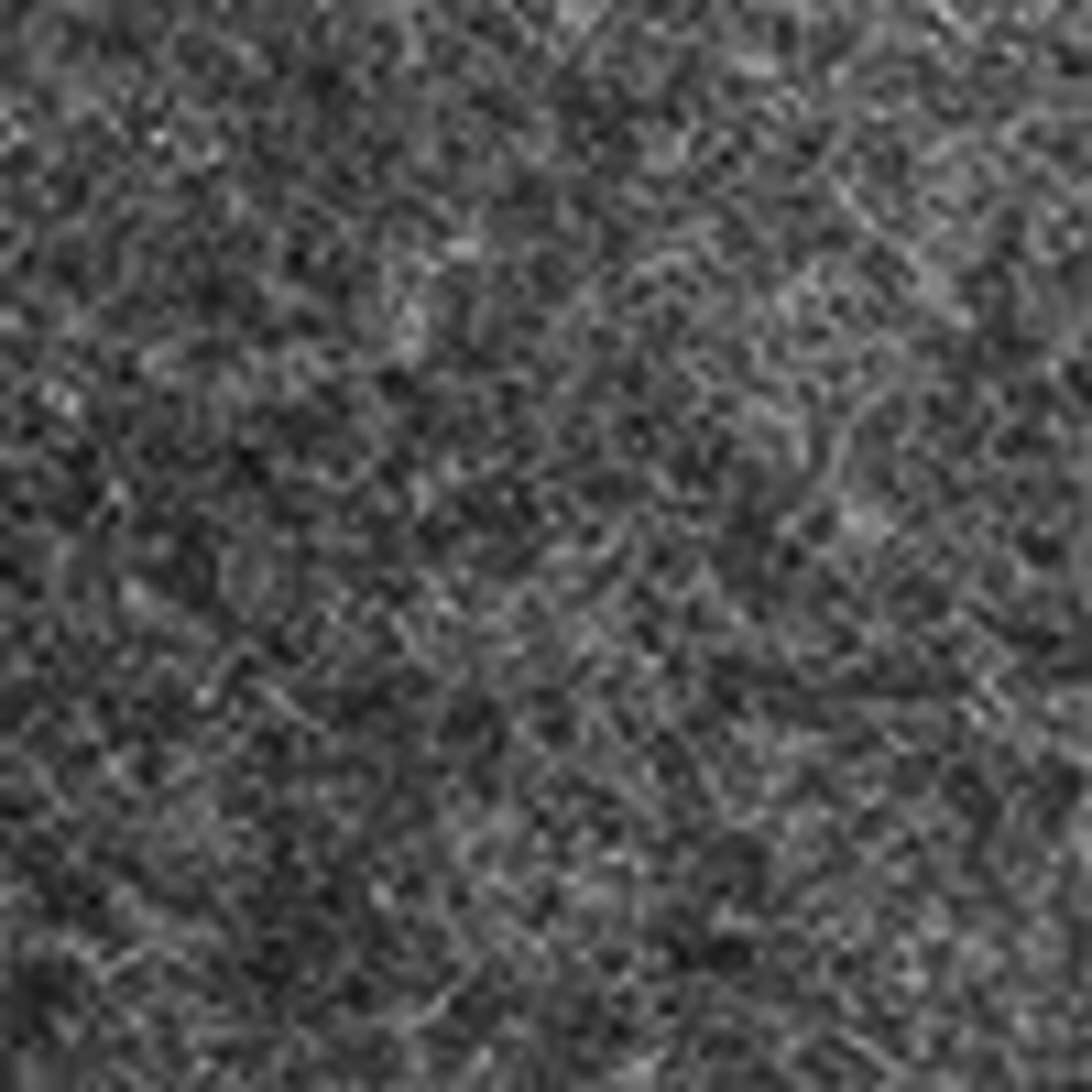 L’échantillon de tissu affiche une vue rapprochée, de face, d’une texture gris charbon chiné dense, montrant une surface douce, légèrement duveteuse, avec des fibres noires et gris pâle mélangées. L’échantillon de tissu affiche une vue rapprochée, de face, d’une texture gris charbon chiné dense, montrant une surface douce, légèrement duveteuse, avec des fibres noires et gris pâle mélangées.