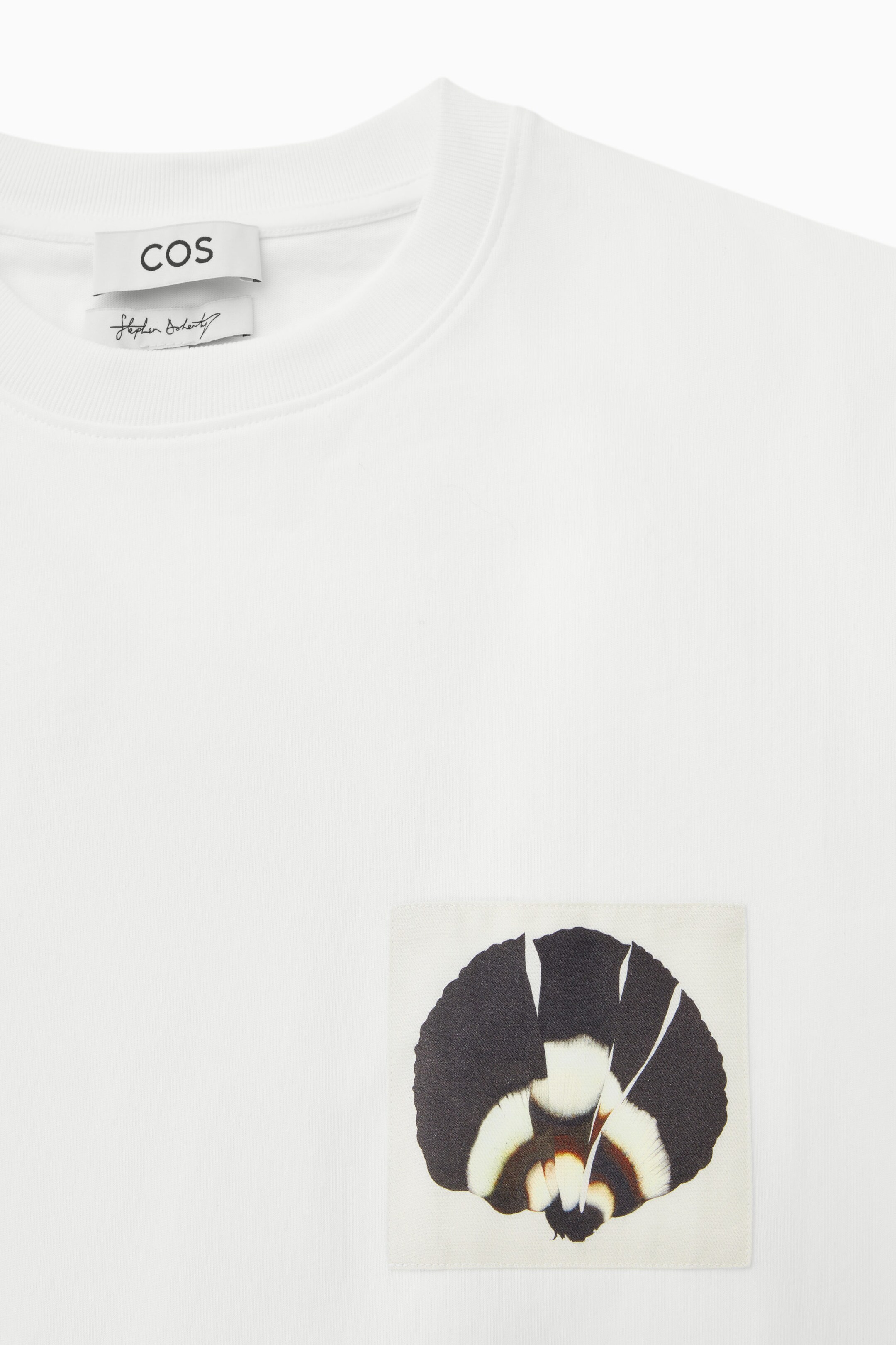 StillMedia/DescriptiveDetail