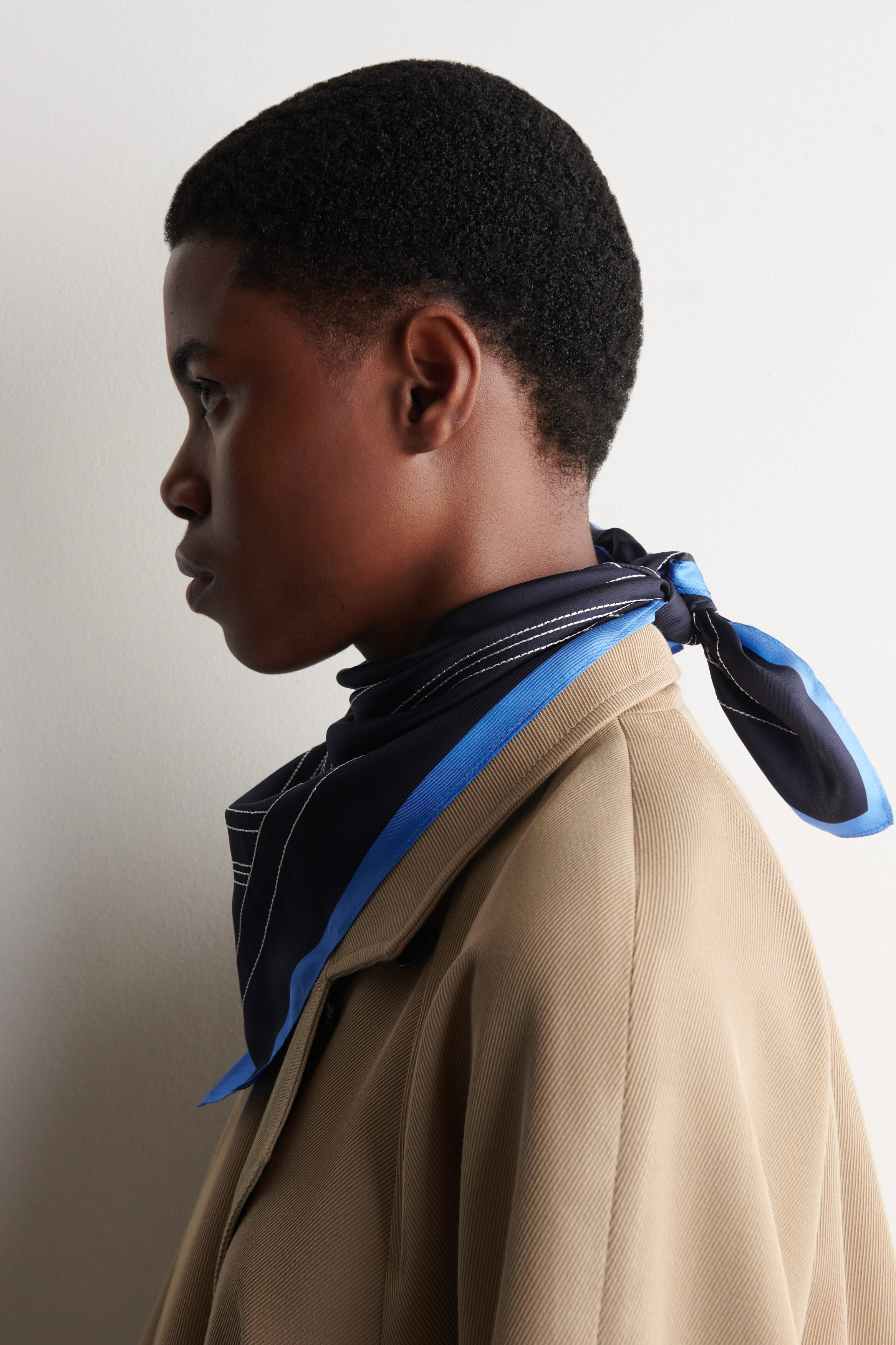 EMBROIDERED SILK SCARF - NAVY / STRIPED | COS US