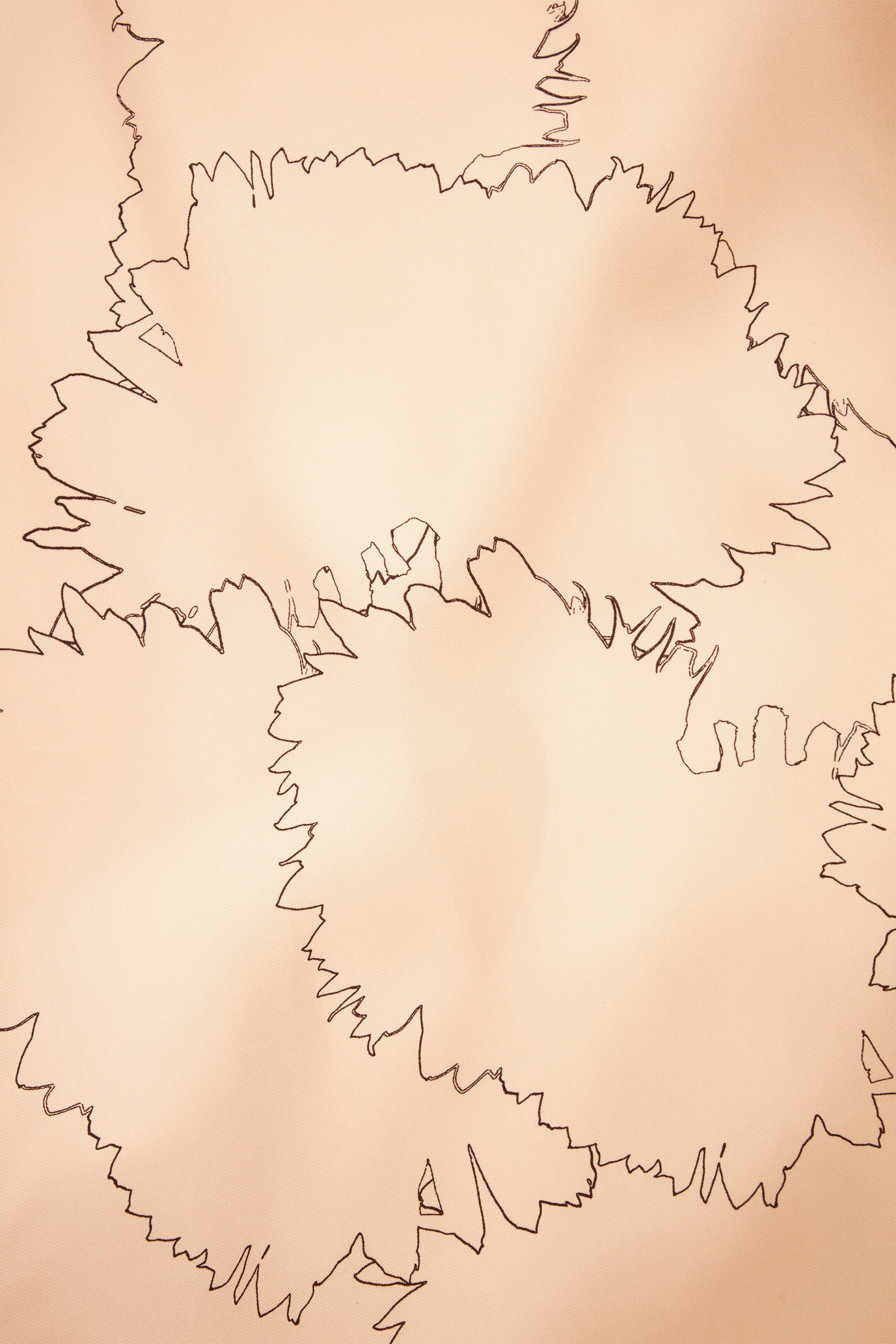 StillMedia/DescriptiveDetail