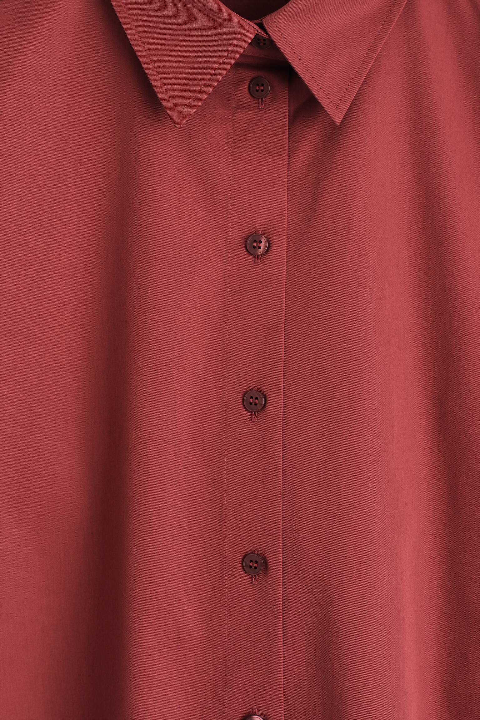 CAMISA REDONDEADA DE ALGODÓN PIMA - ROJO OSCURO/VERDE CLARO/BLANCO - 5