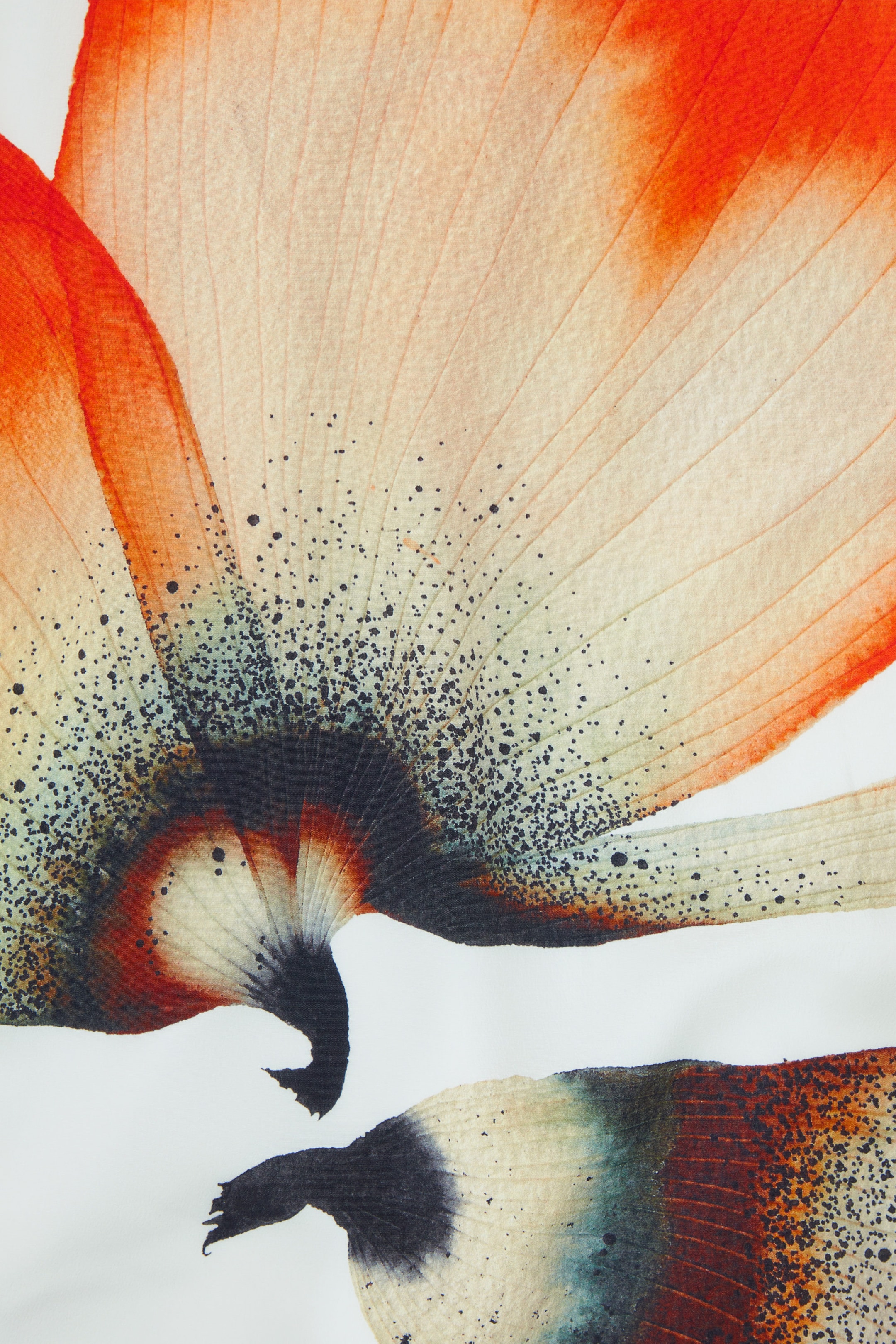 StillMedia/DescriptiveDetail