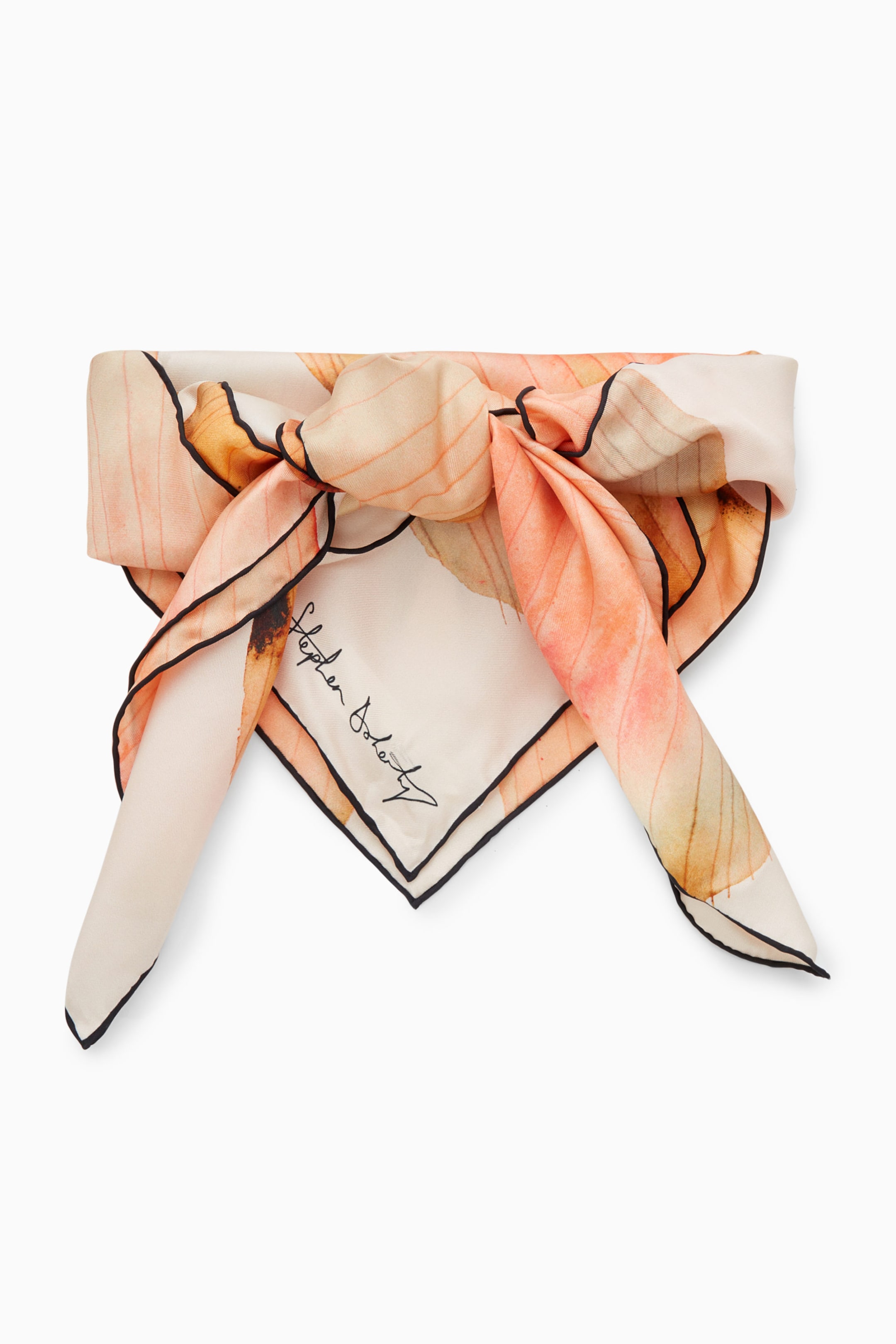 StillMedia/DescriptiveStillLife