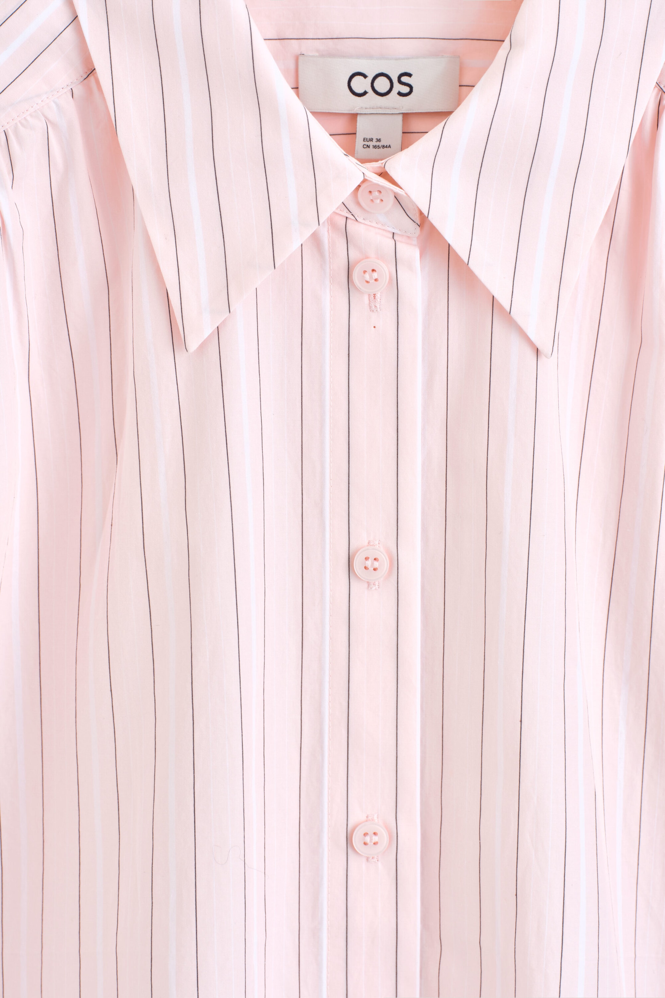 StillMedia/DescriptiveDetail