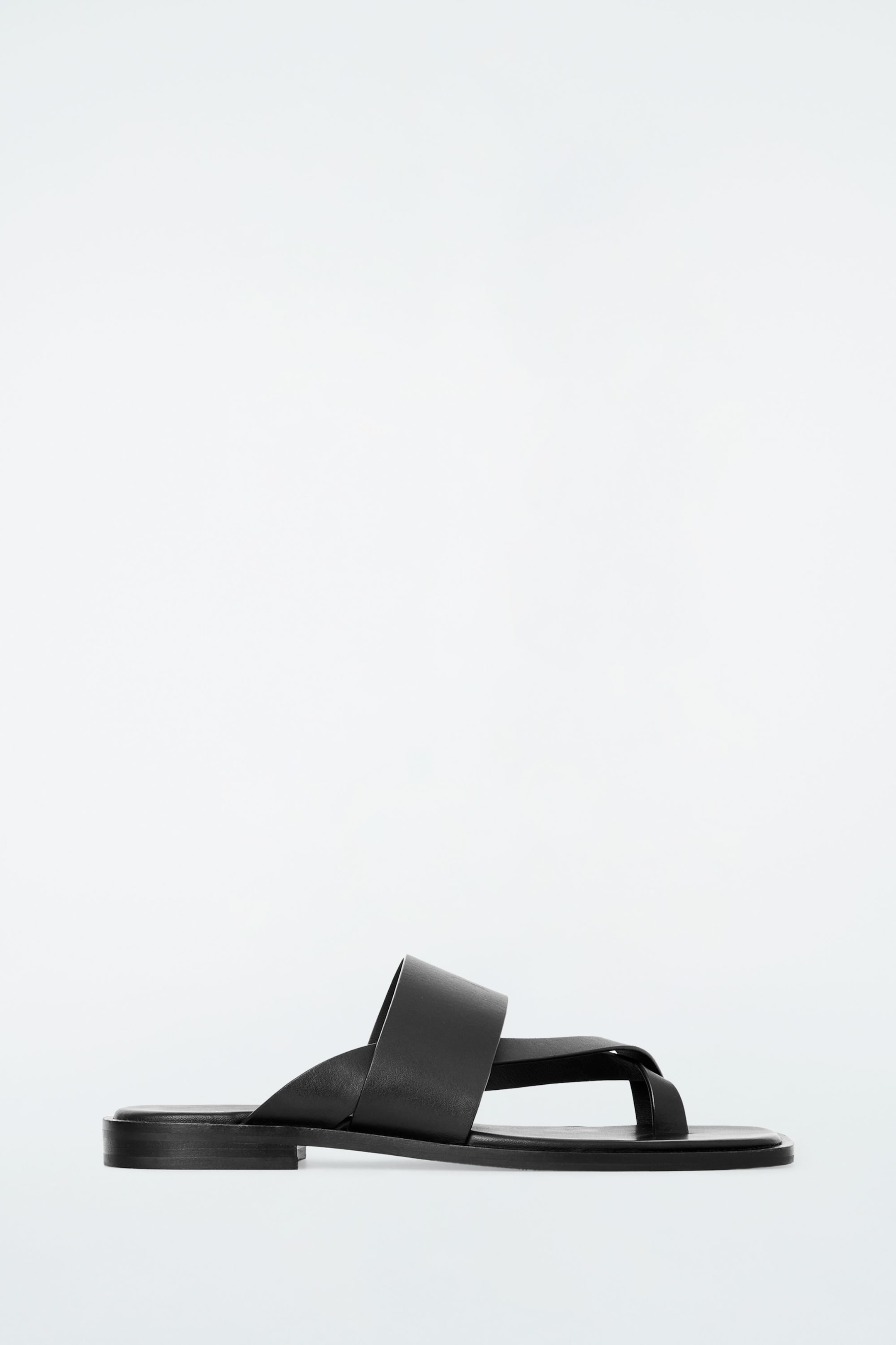 StillMedia/DescriptiveStillLife