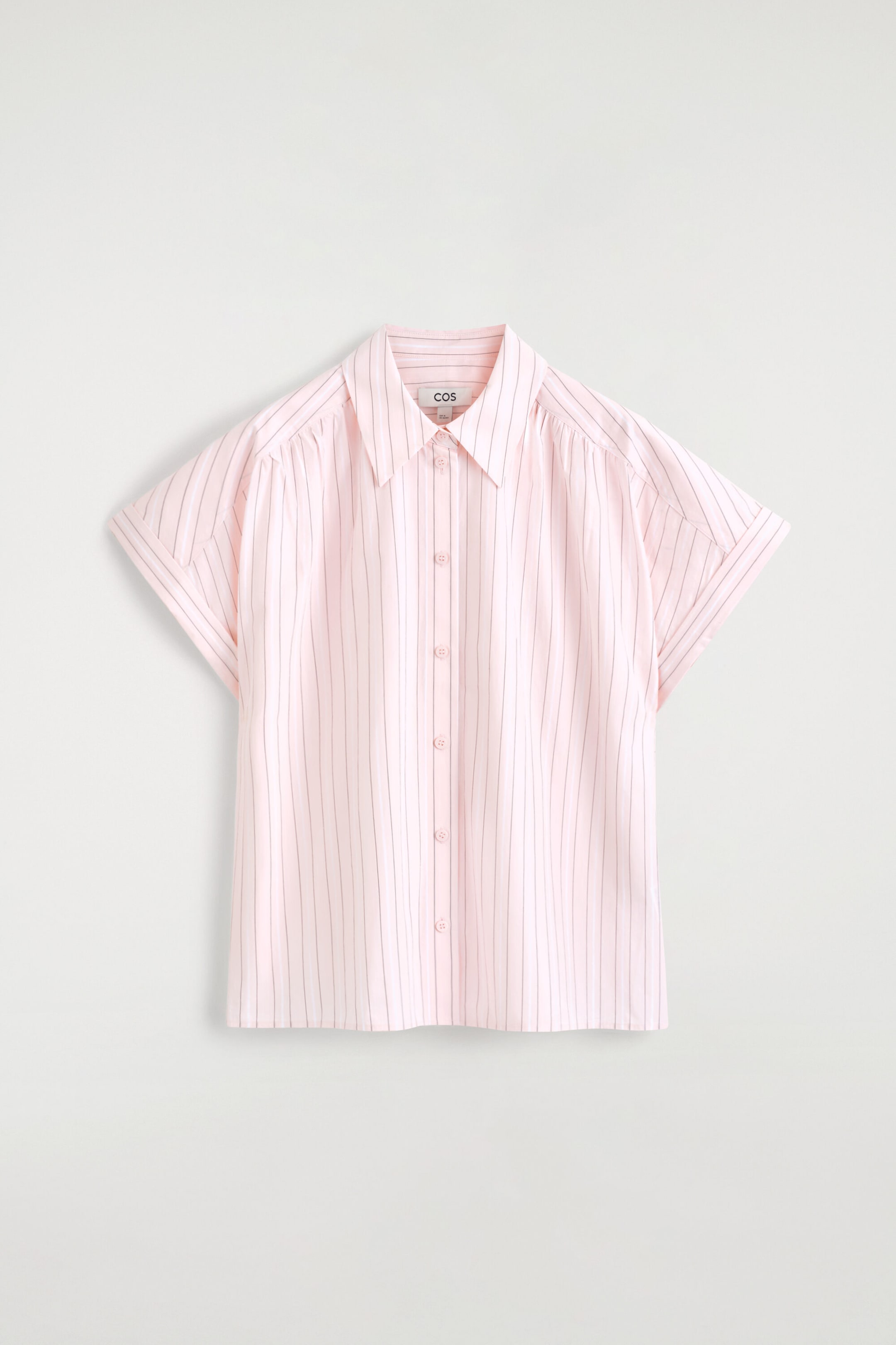 StillMedia/DescriptiveStillLife