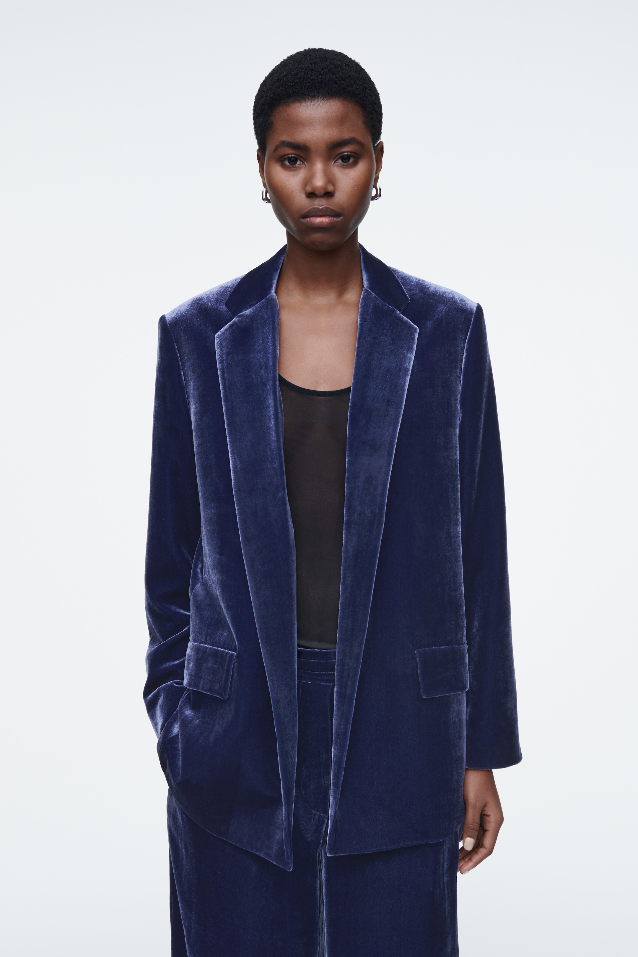 Agrandir l'image: BLAZER EN VELOURS DE SOIE MÉLANGÉE - BLEU - FEMME | H&M CH 1