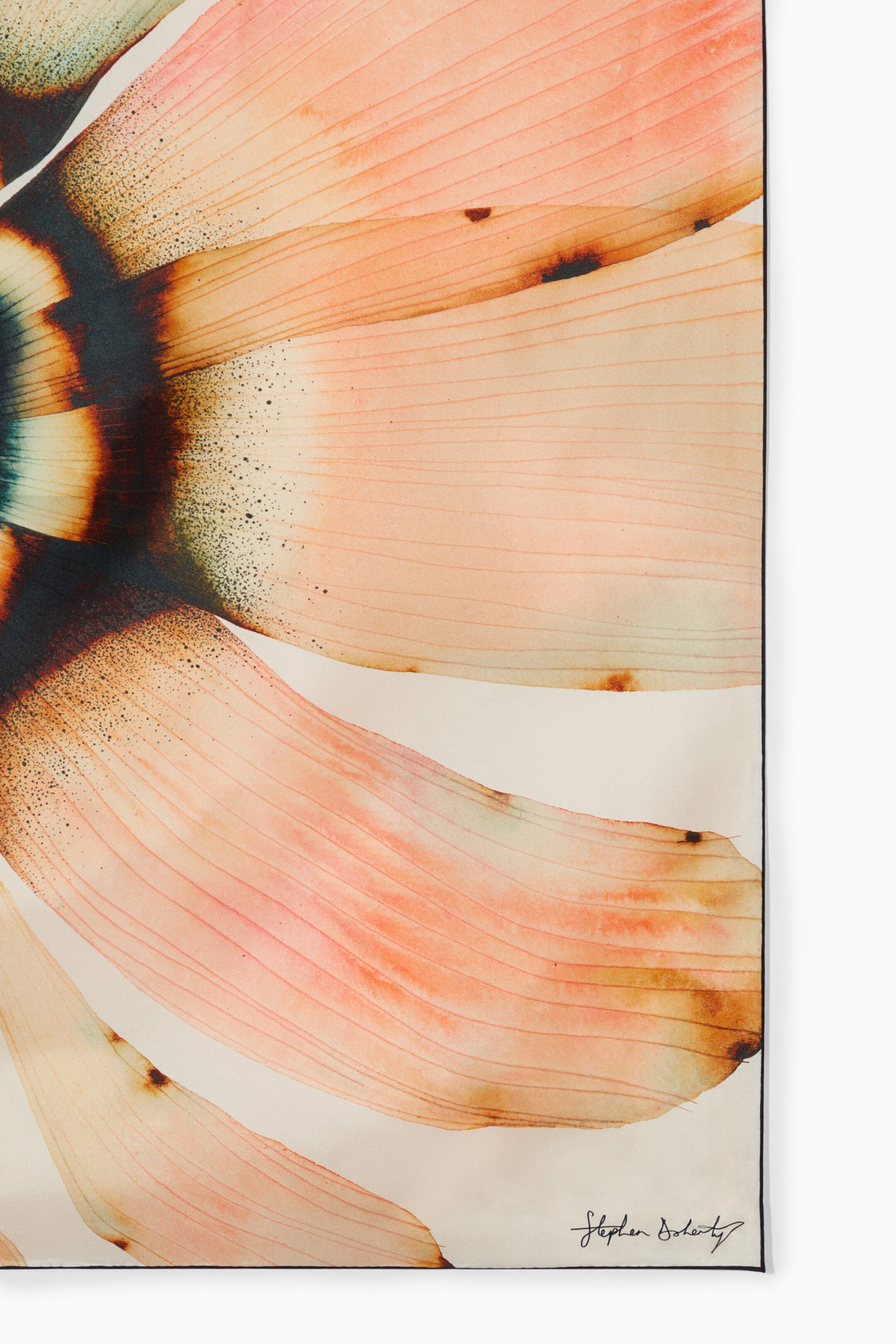 StillMedia/DescriptiveDetail