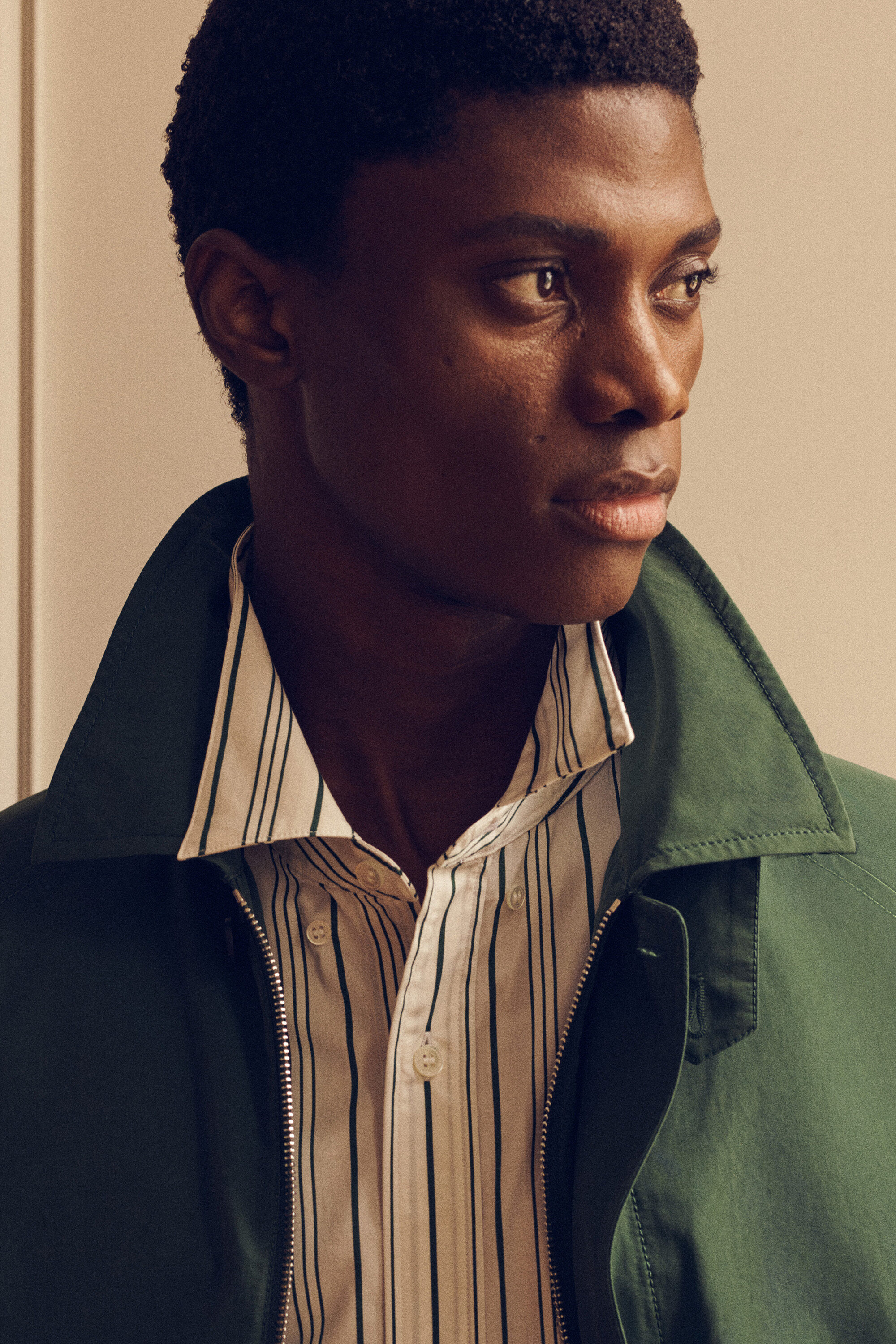 COTTON-NYLON HARRINGTON JACKET - GREEN | COS US