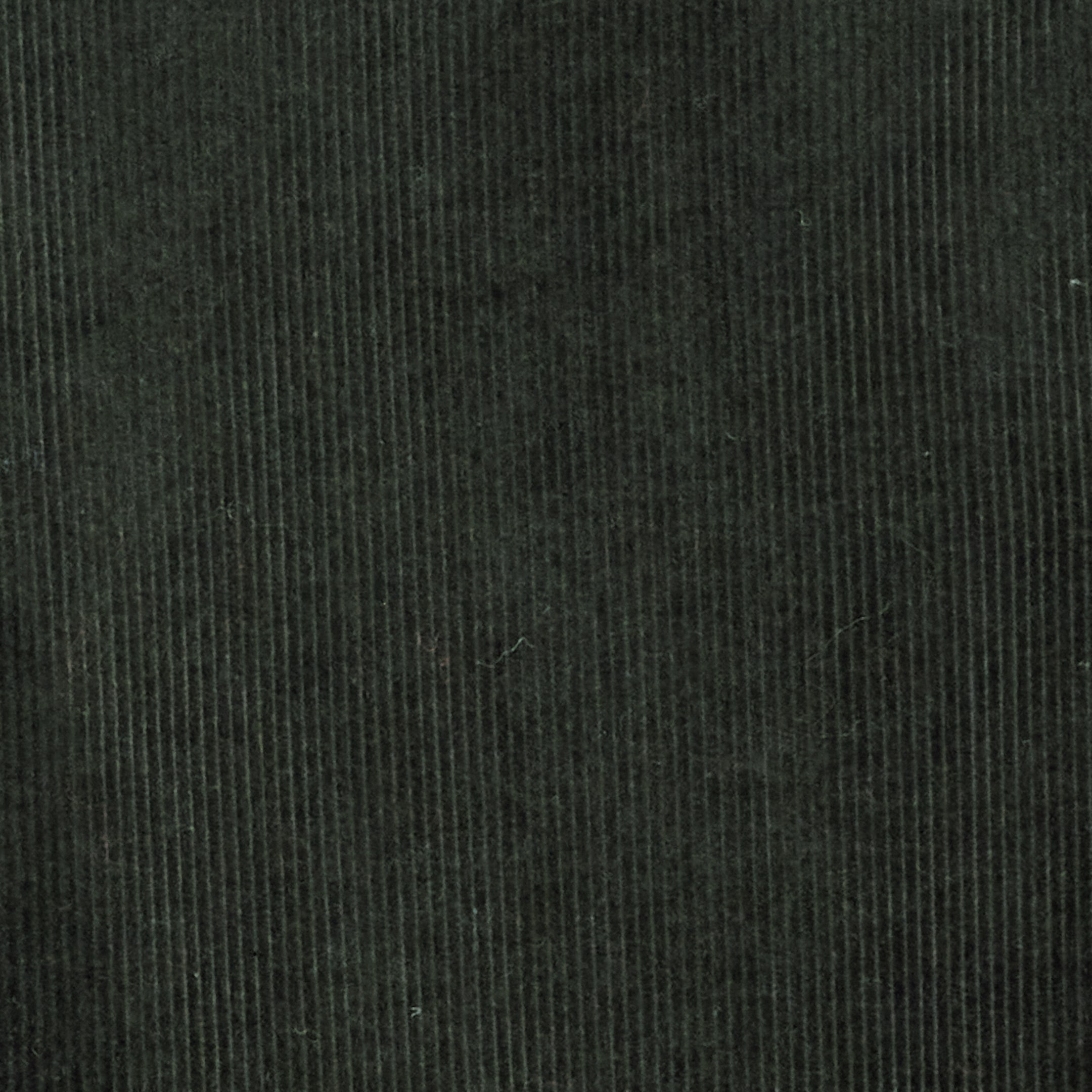 Visualizza immagine più grande: Un tessuto in velluto a coste verde scuro presenta una superficie con texture, con coste verticali distinte e uniformemente distanziate.